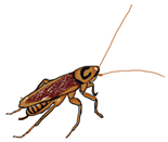 Biomolecules 11 00509 i005