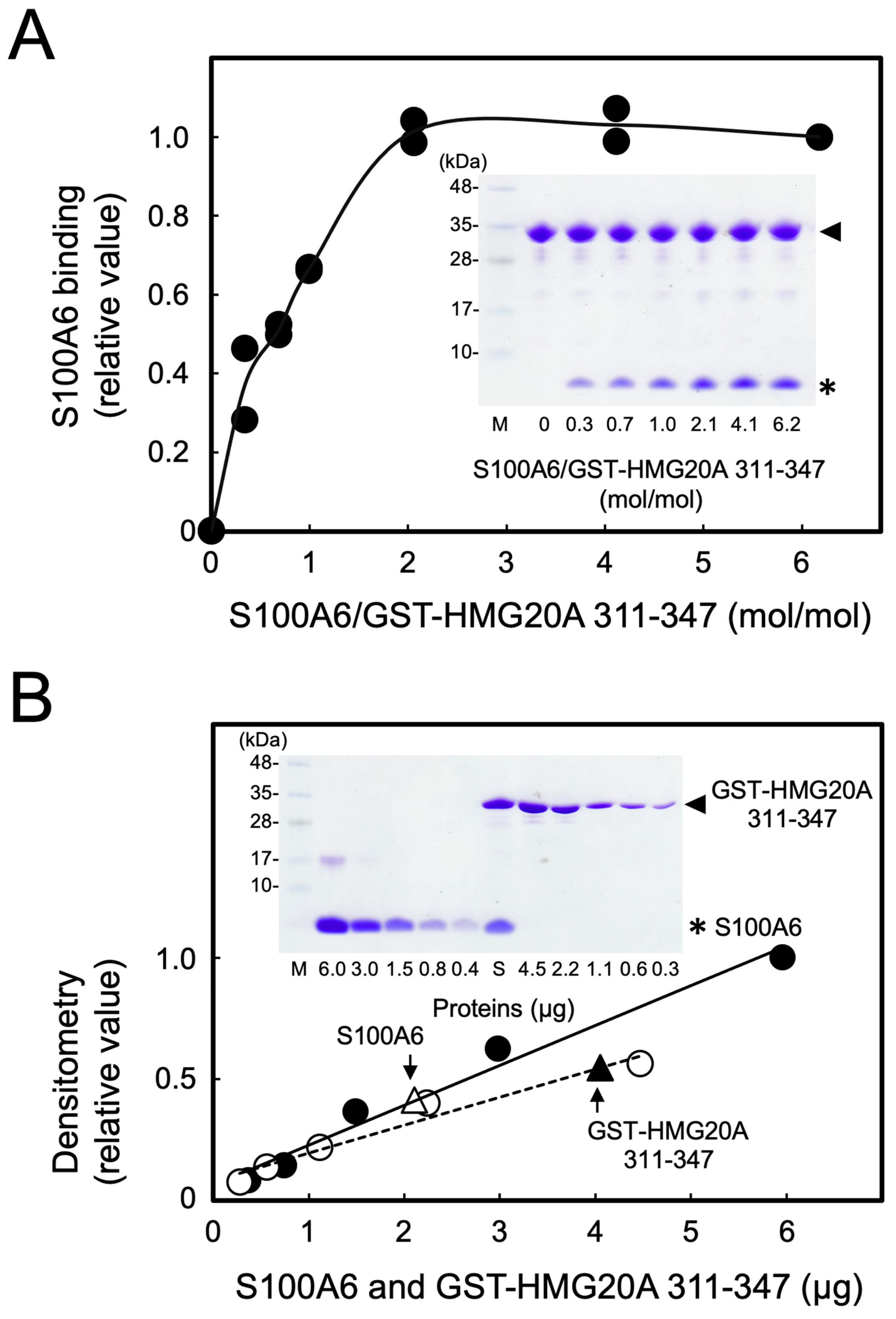 Biomolecules 11 00510 g003 Biomolecules 11 00510 g003