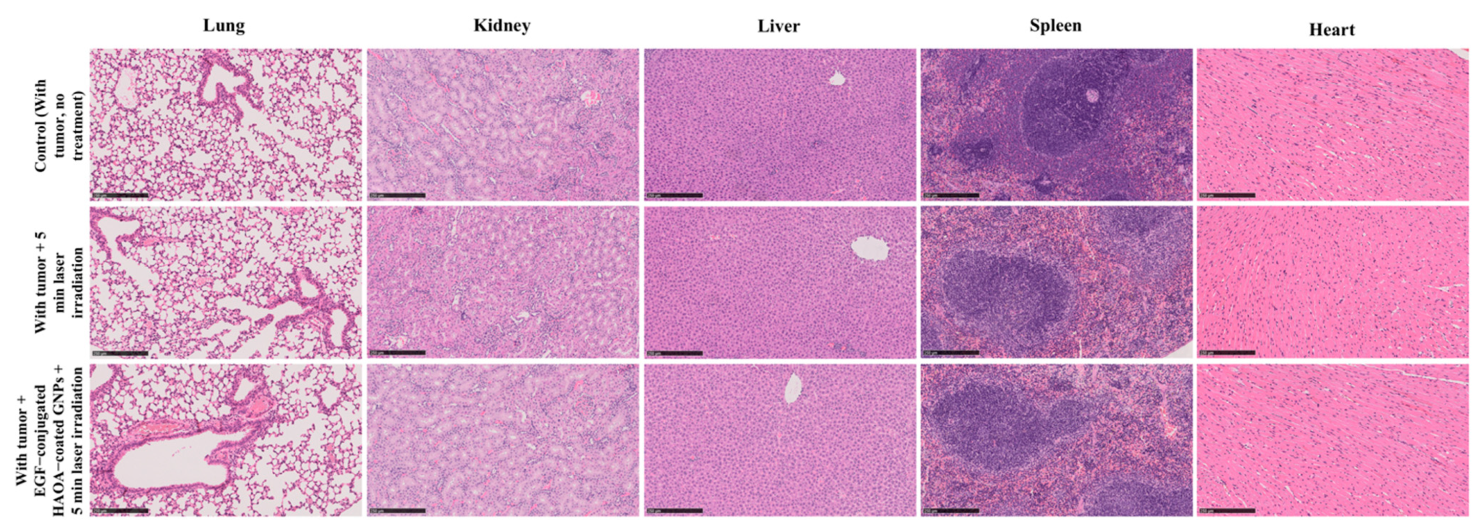 Biomolecules 11 00511 g009