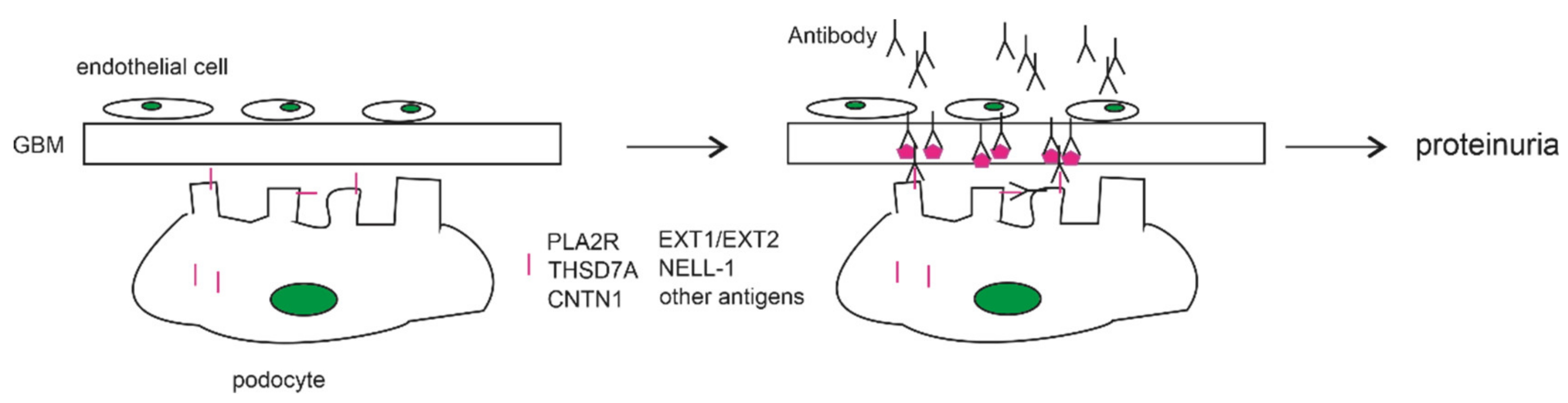 Biomolecules 11 00513 g001