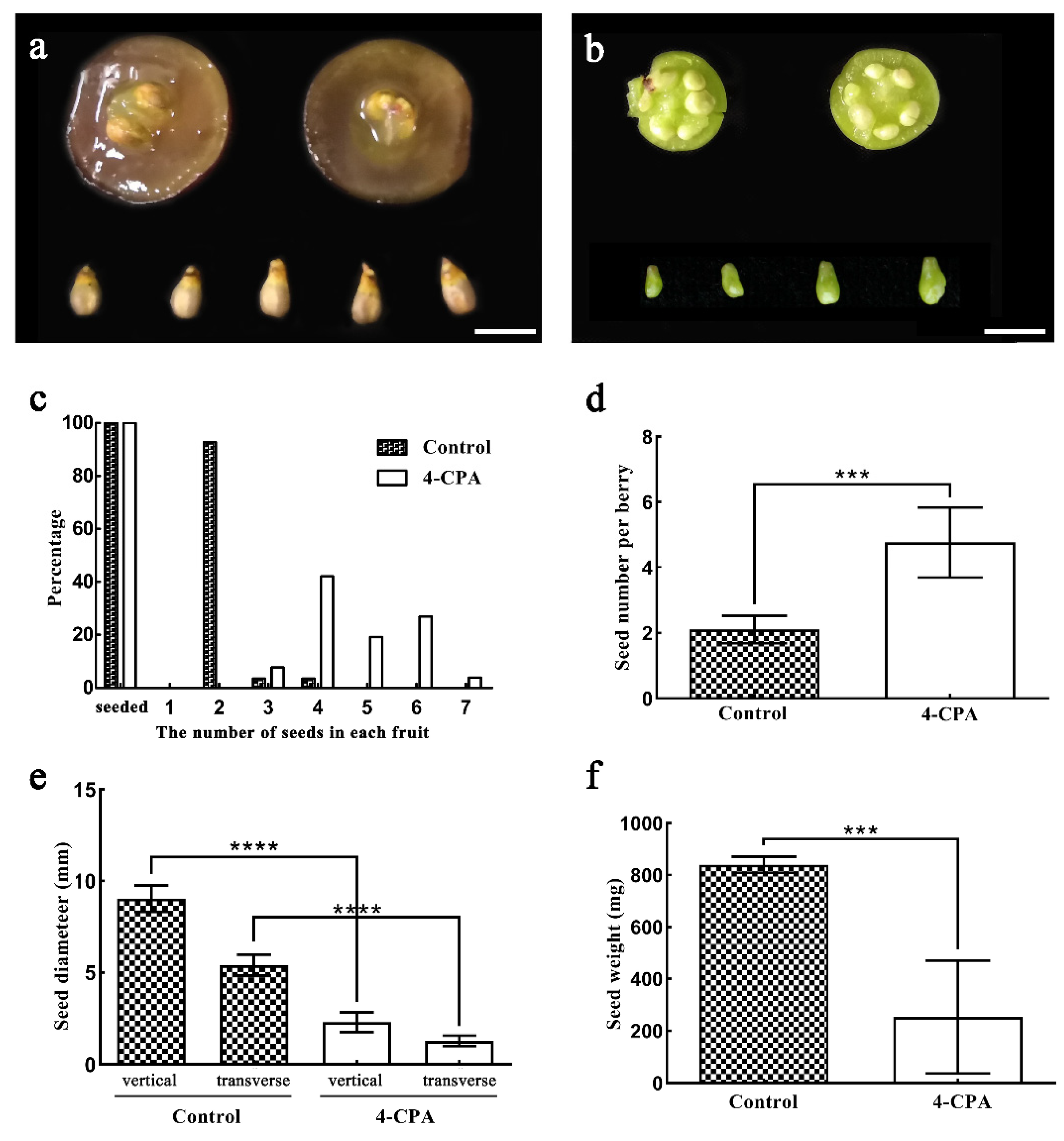 Biomolecules 11 00515 g002