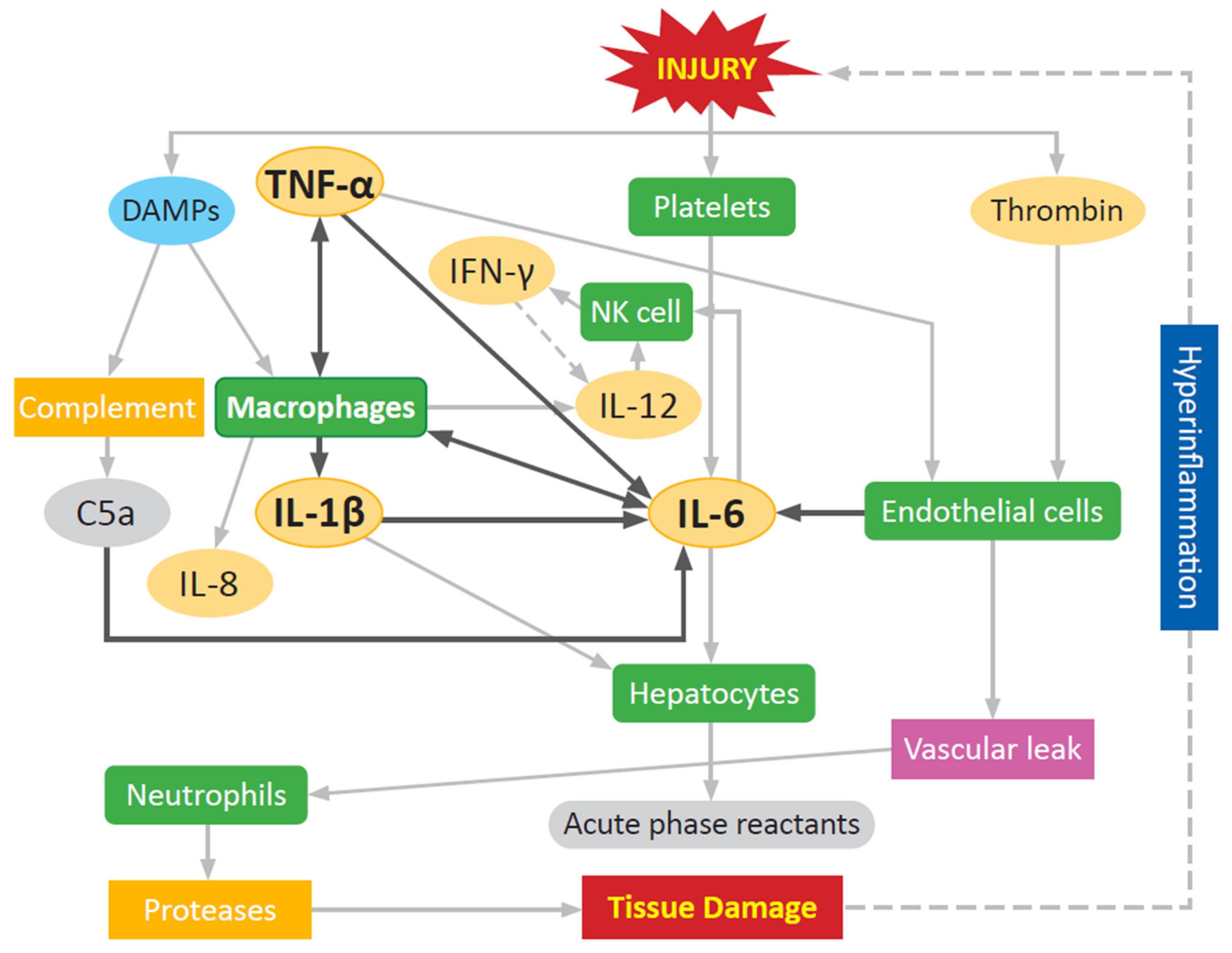 Biomolecules 11 00522 g003