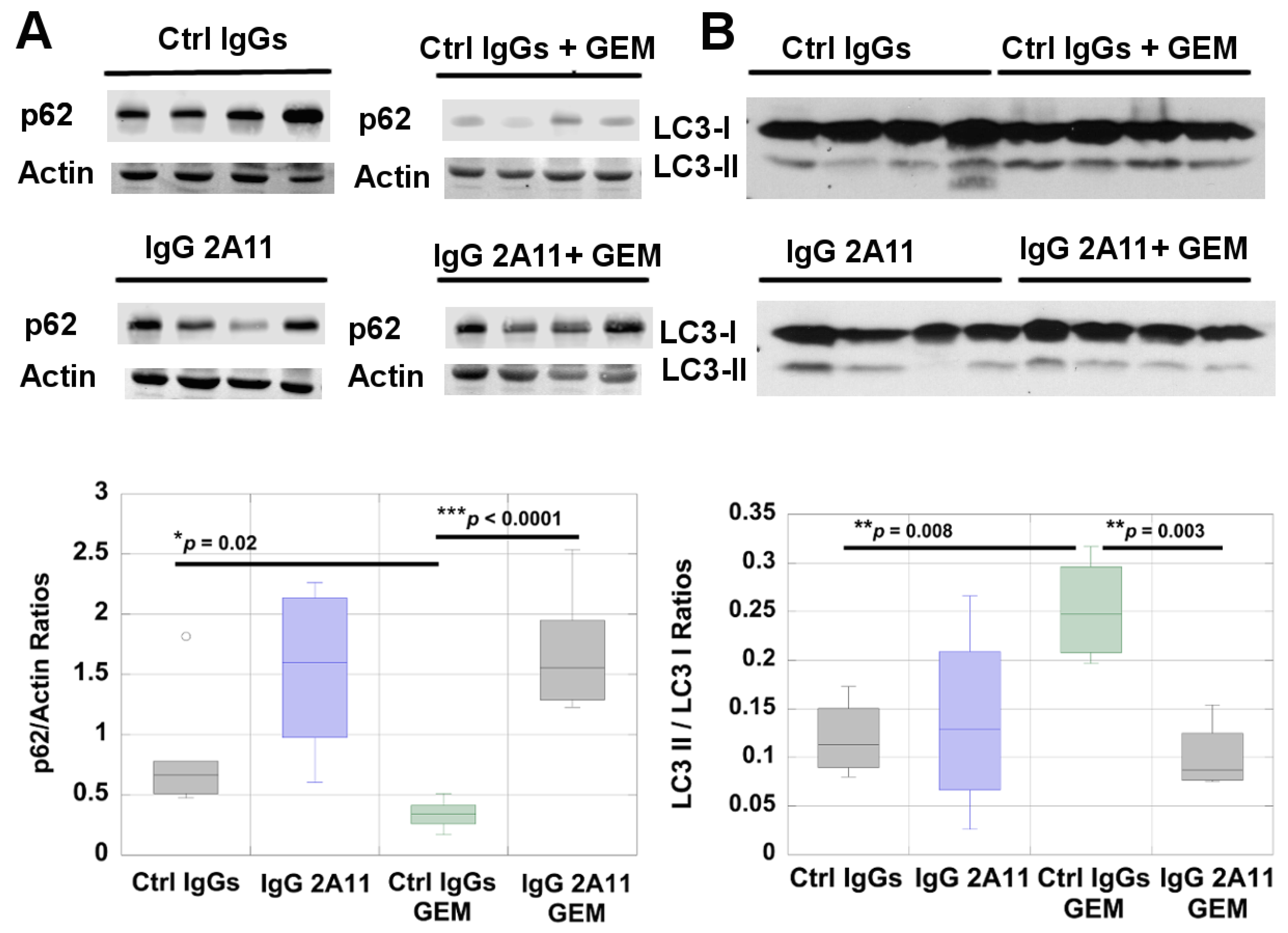 Biomolecules 11 00526 g003
