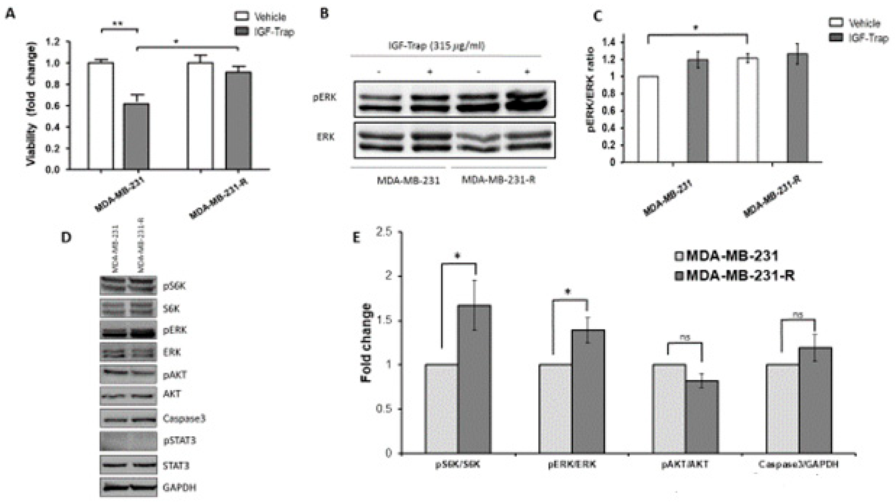 Biomolecules 11 00527 g003
