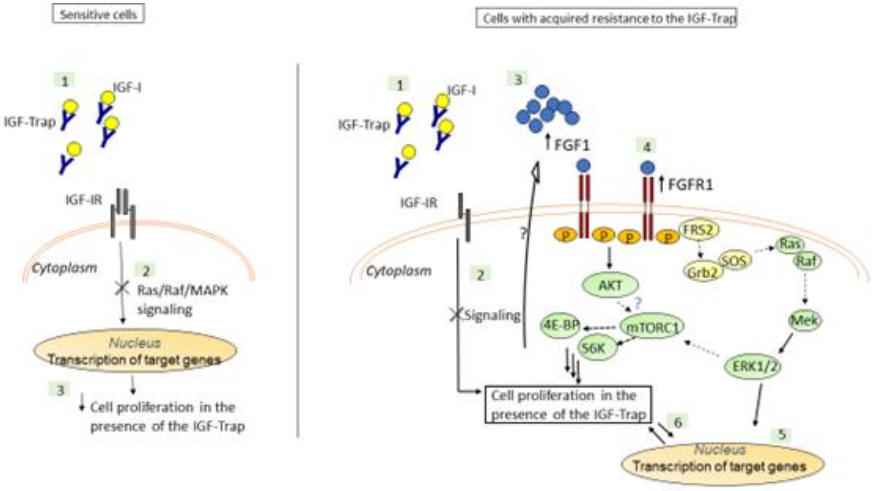 Biomolecules 11 00527 g010