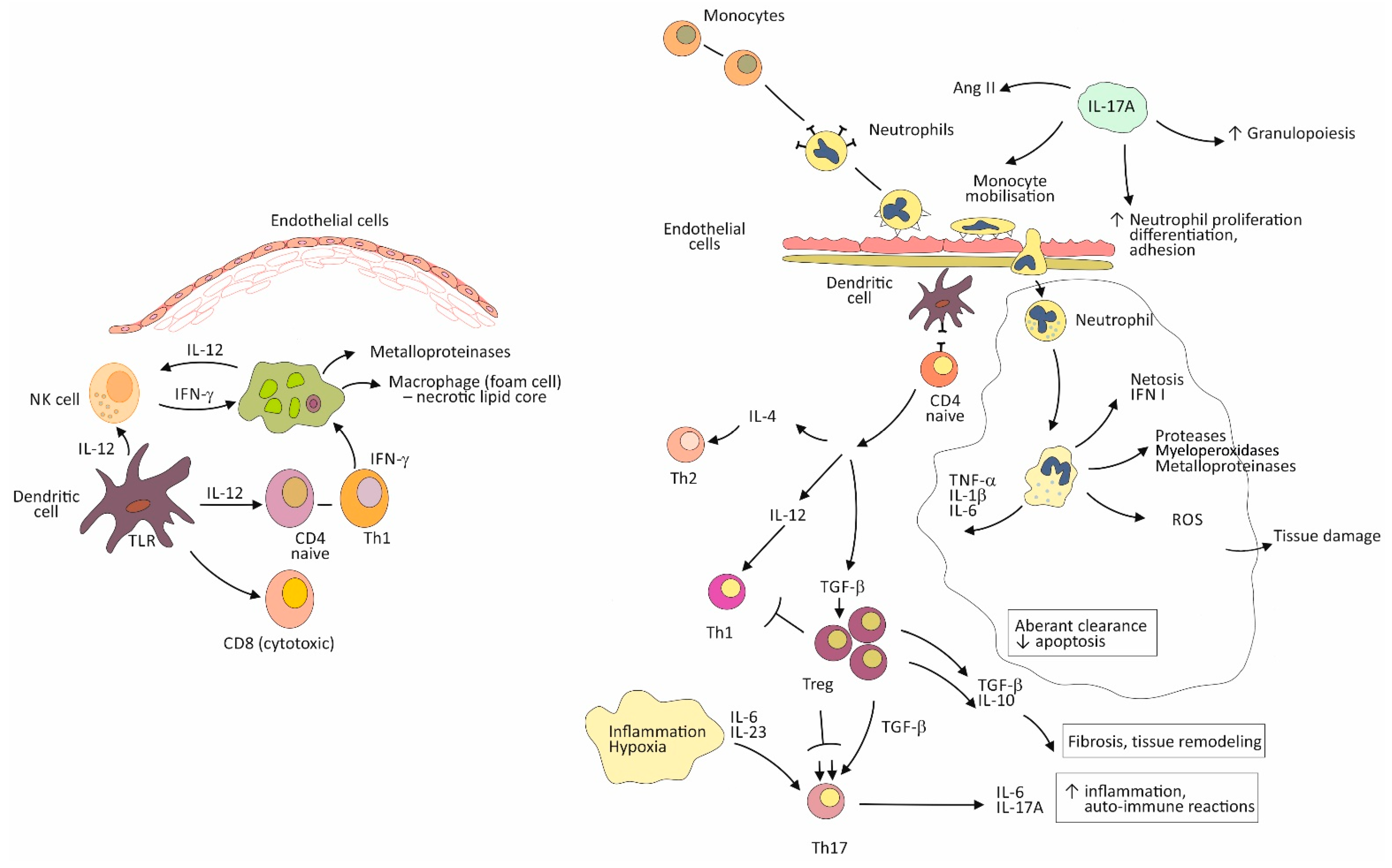 Biomolecules 11 00528 g001