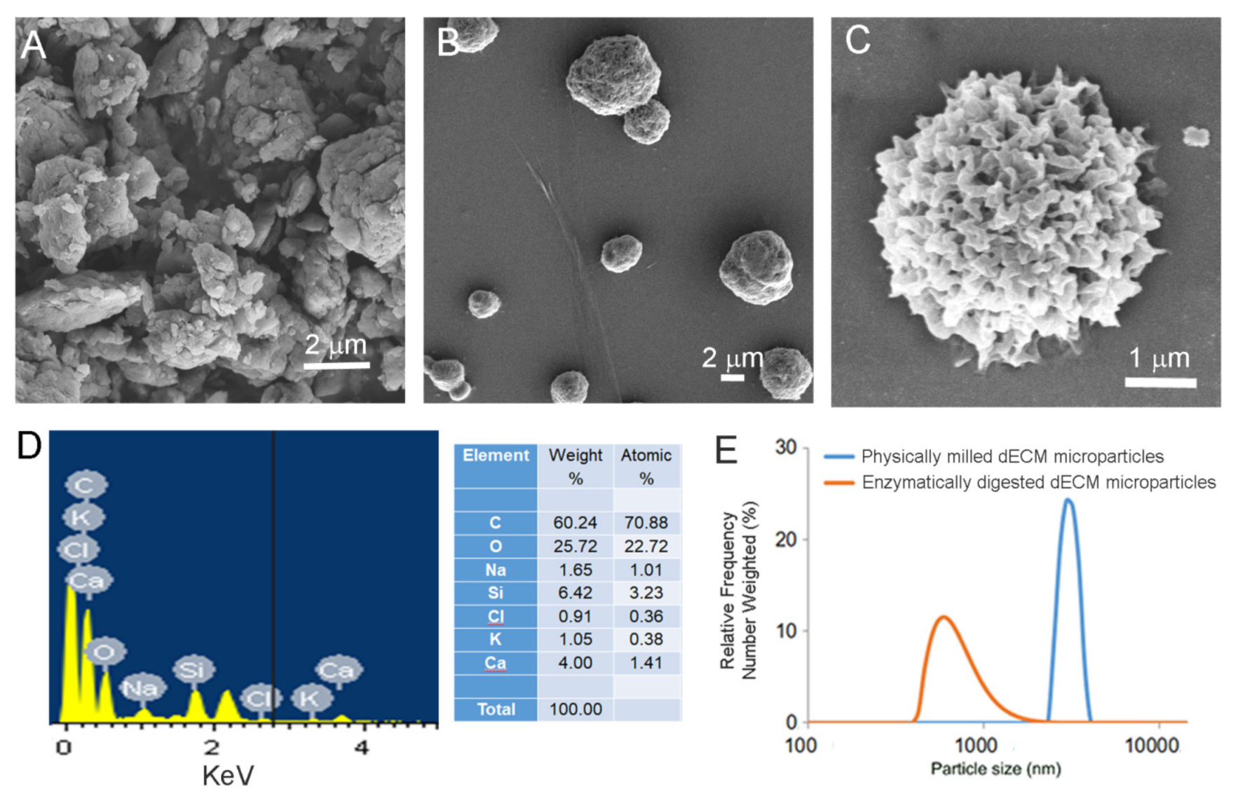 Biomolecules 11 00532 g002 Biomolecules 11 00532 g002