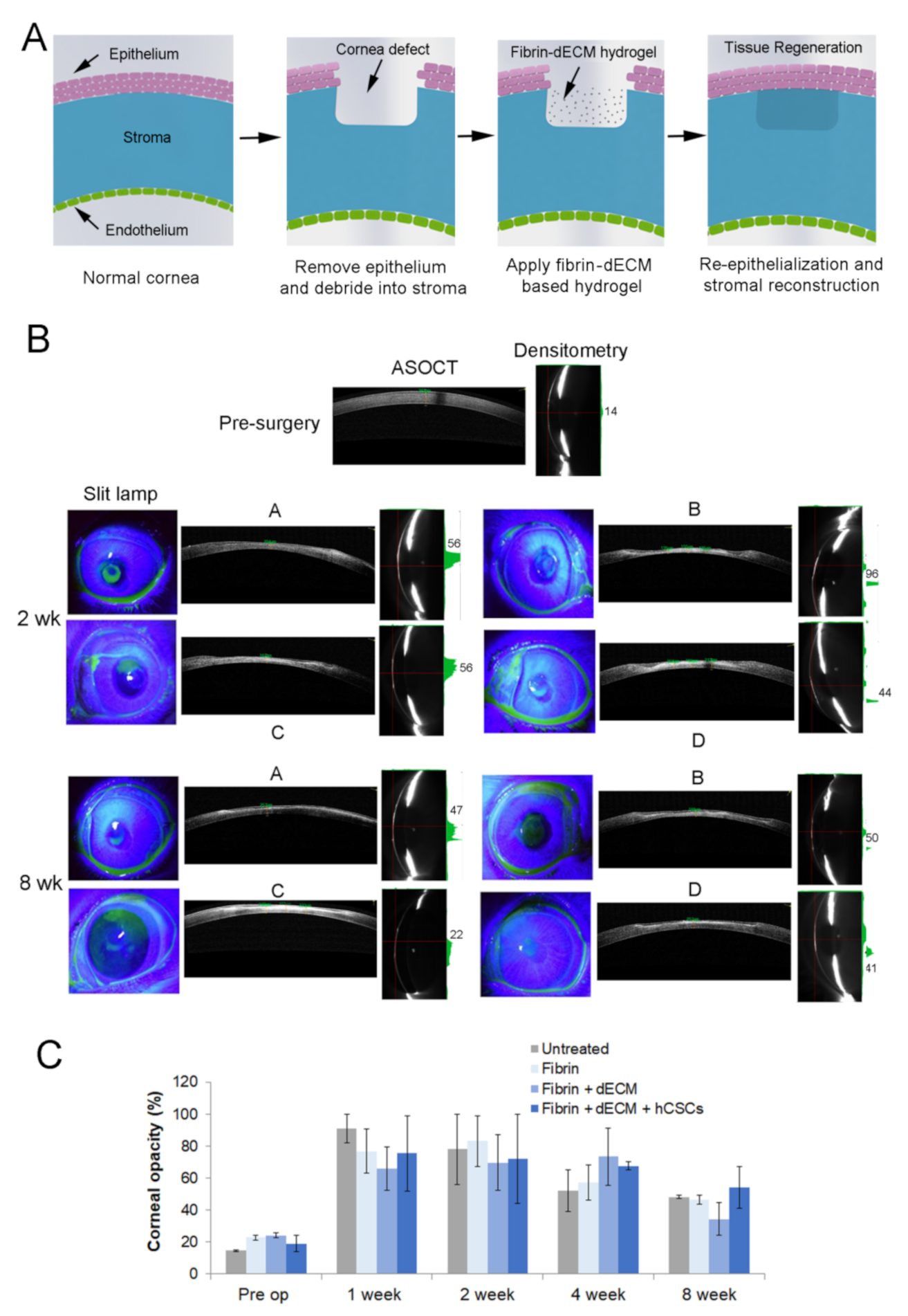 Biomolecules 11 00532 g004 Biomolecules 11 00532 g004