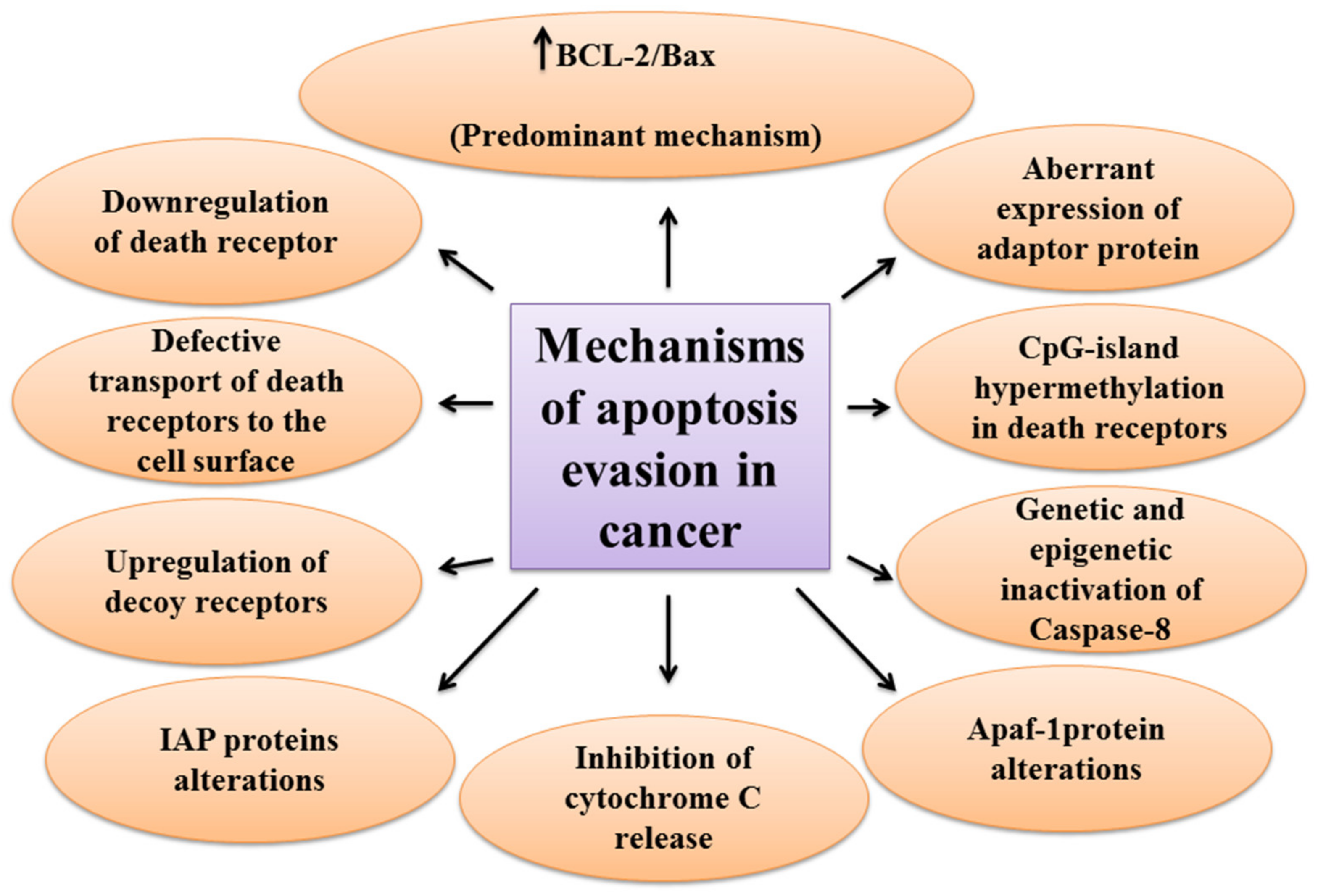 Biomolecules 11 00534 g002