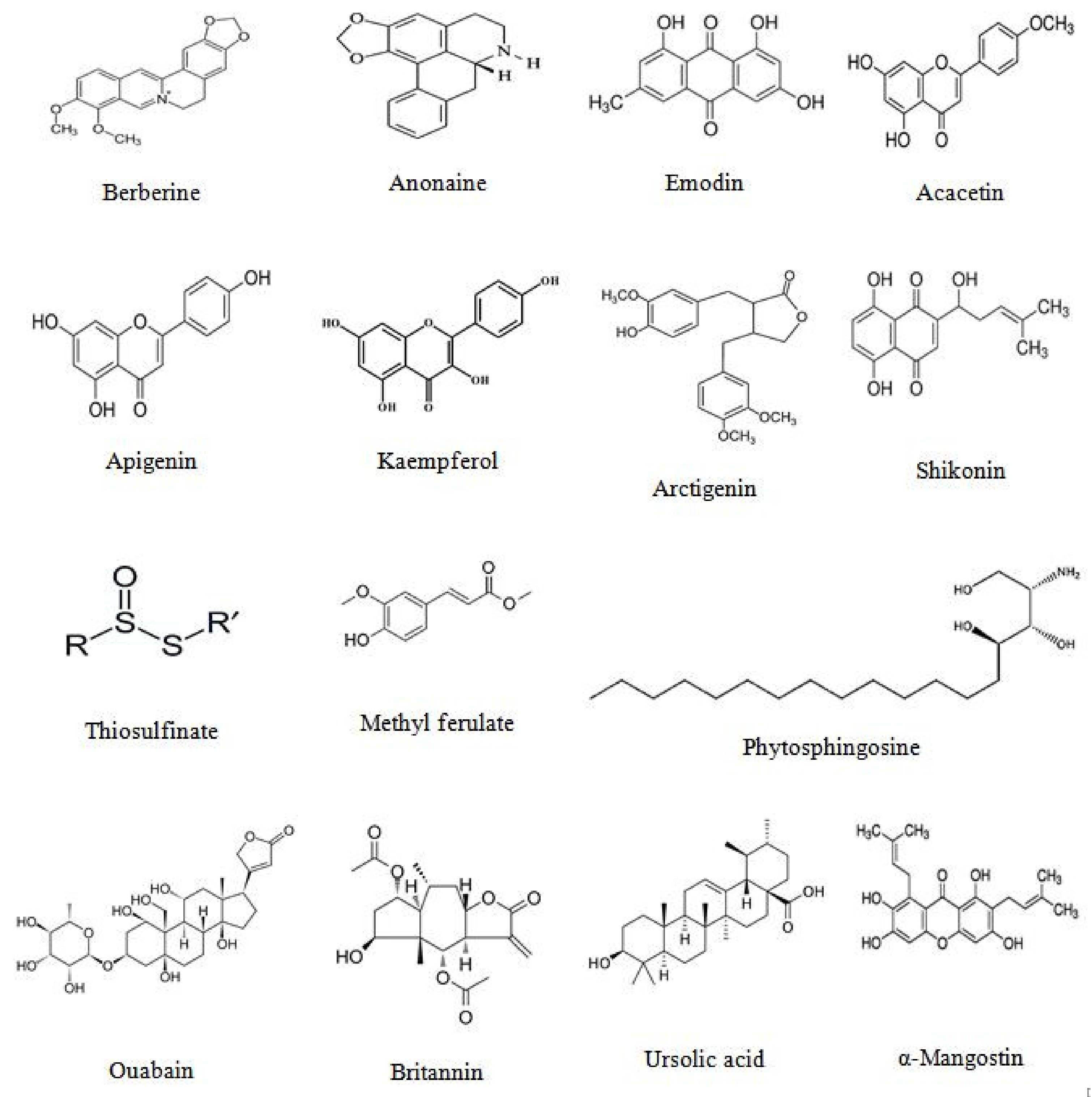 Biomolecules 11 00534 g004