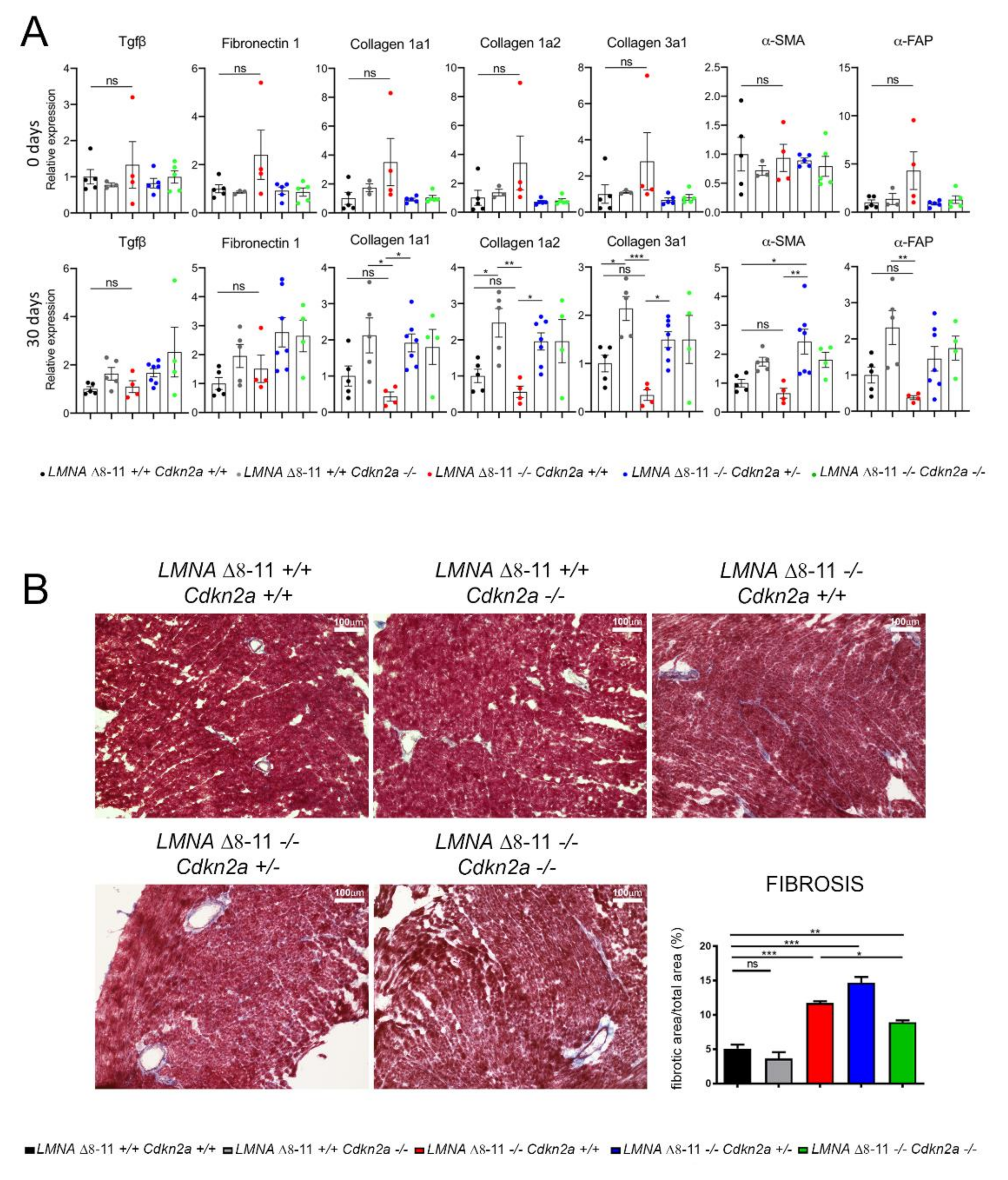 Biomolecules 11 00538 g004 Biomolecules 11 00538 g004