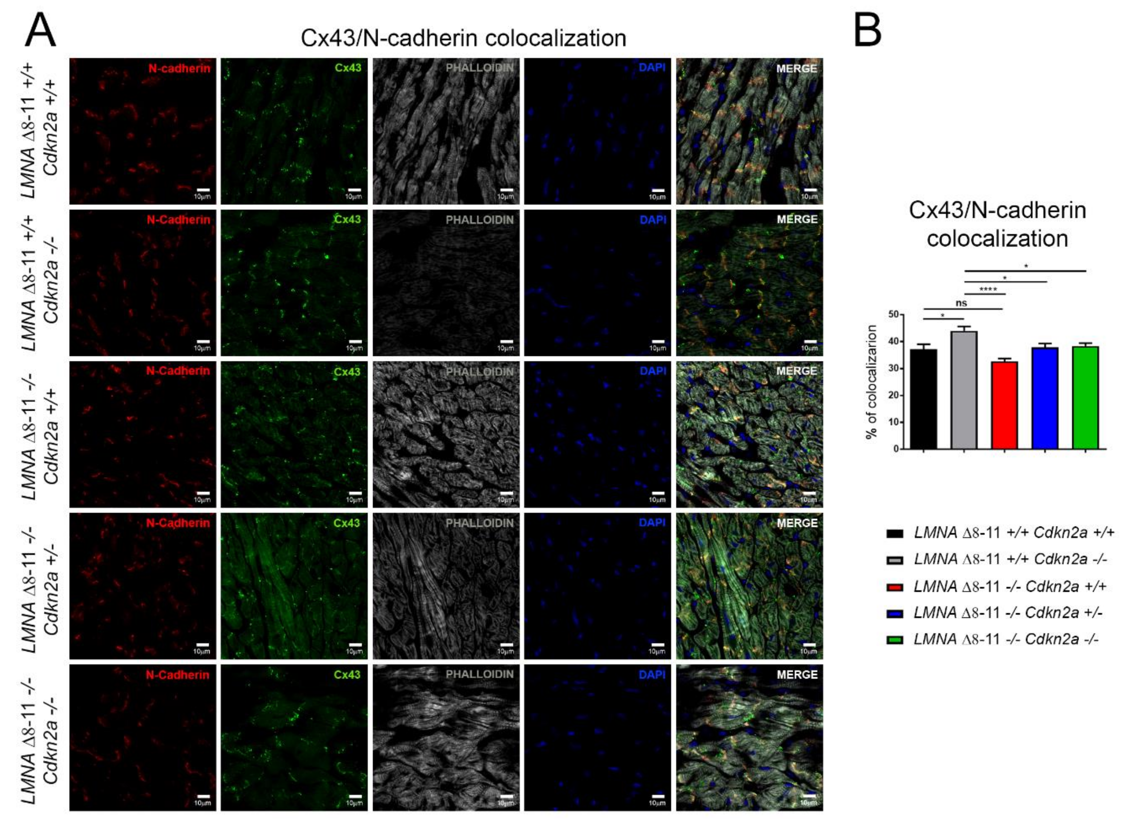 Biomolecules 11 00538 g006 Biomolecules 11 00538 g006