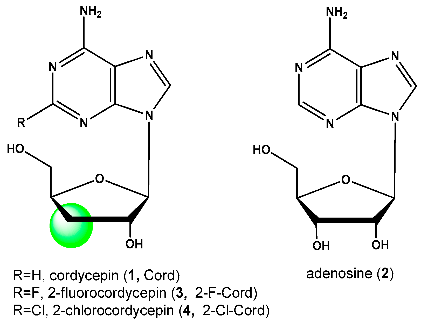 Biomolecules 11 00539 g001