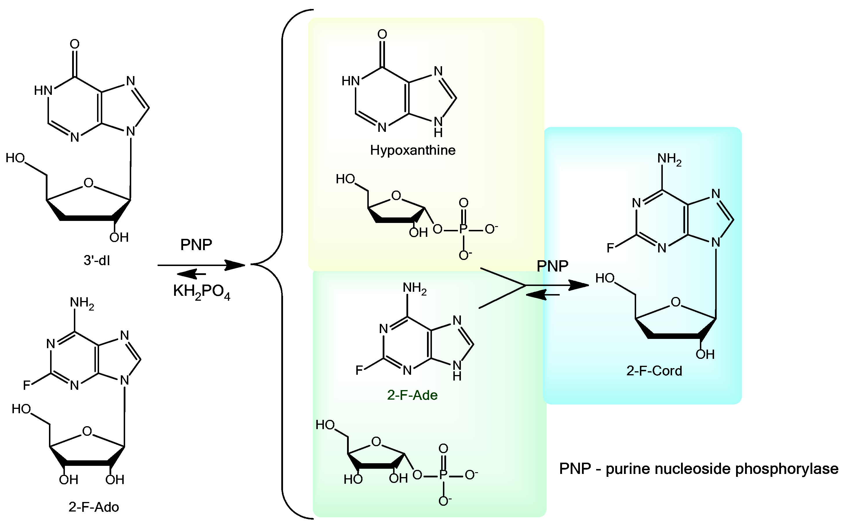 Biomolecules 11 00539 sch002