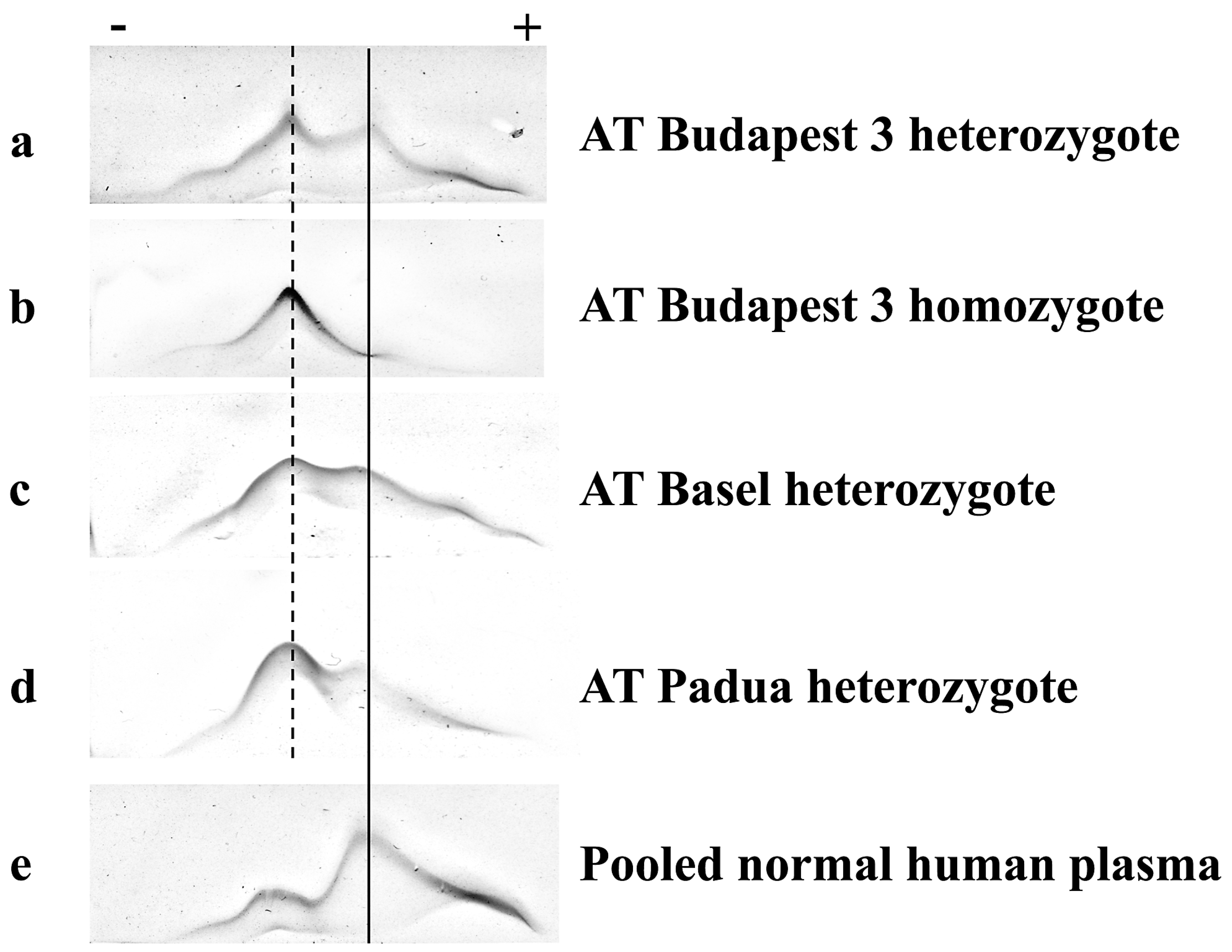 Biomolecules 11 00544 g001 Biomolecules 11 00544 g001