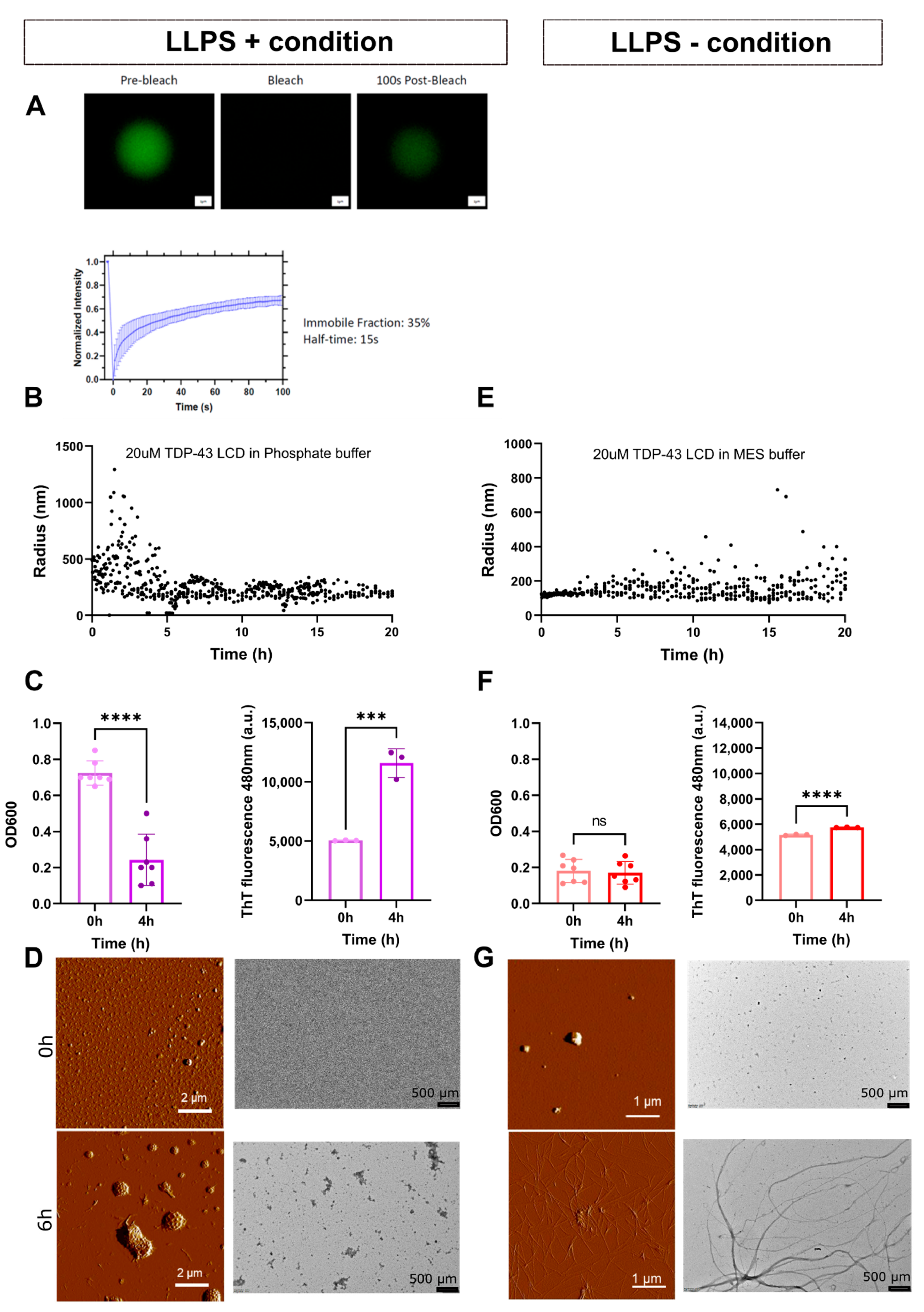 Biomolecules 11 00548 g001 Biomolecules 11 00548 g001