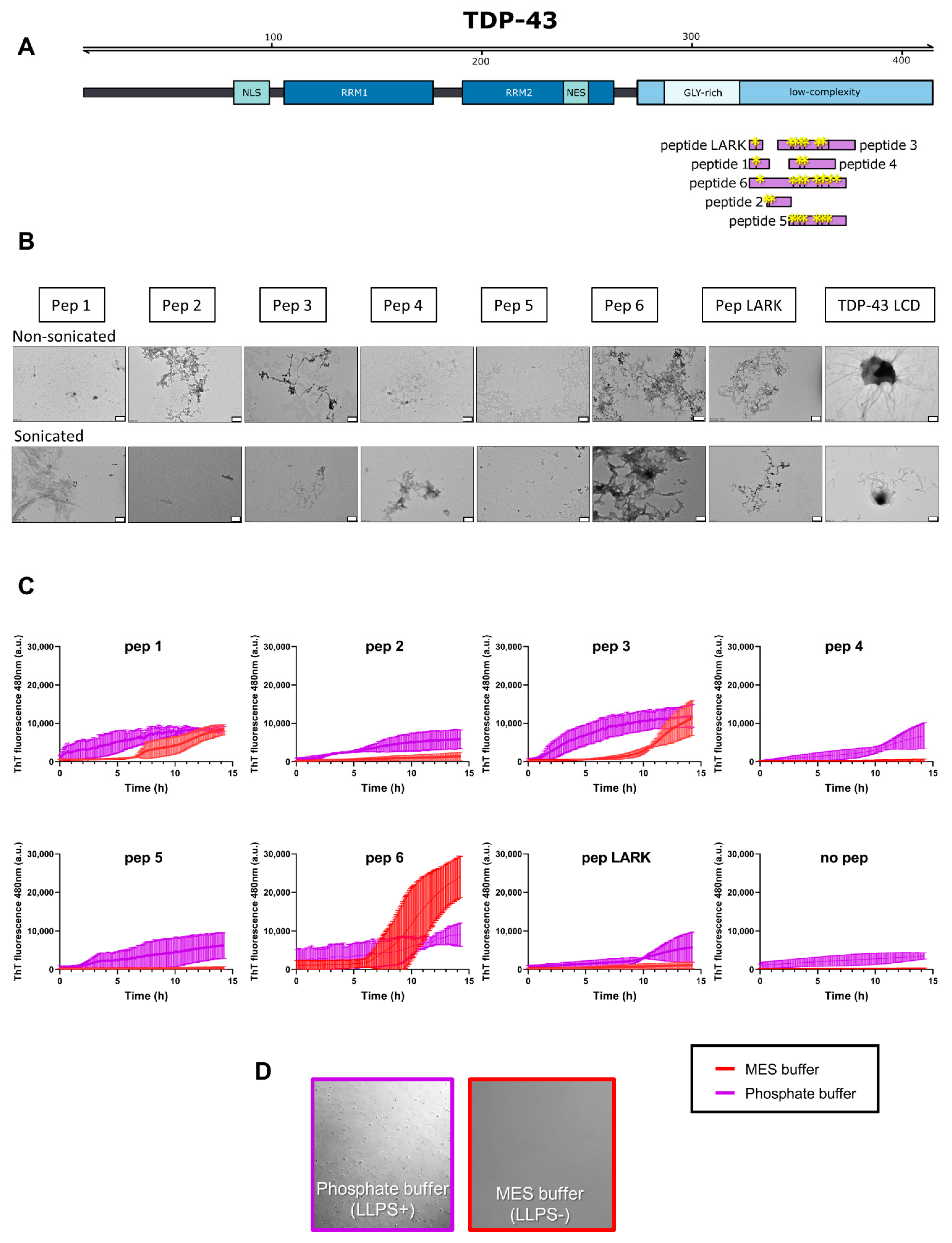 Biomolecules 11 00548 g004 Biomolecules 11 00548 g004