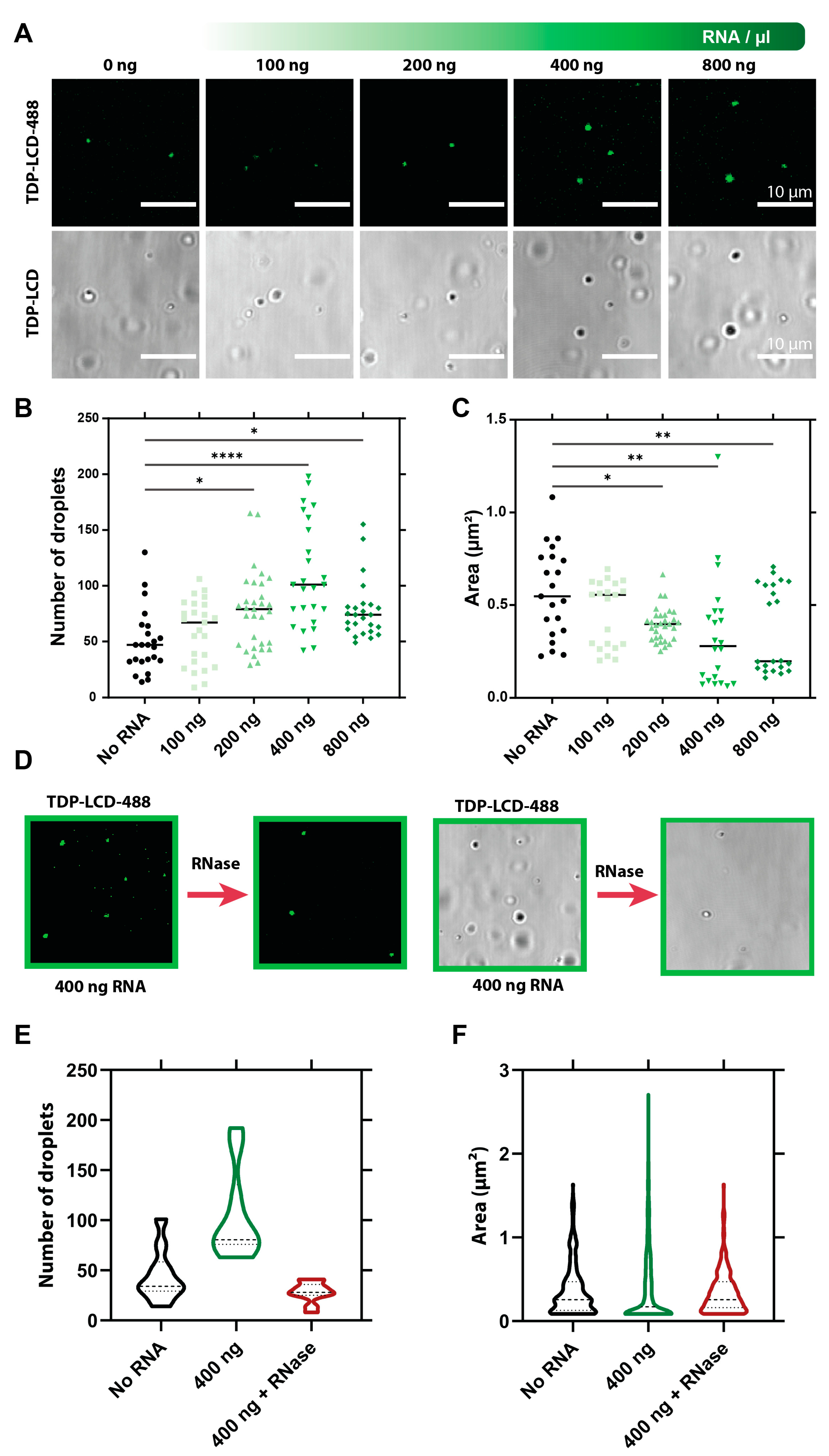 Biomolecules 11 00548 g005 Biomolecules 11 00548 g005