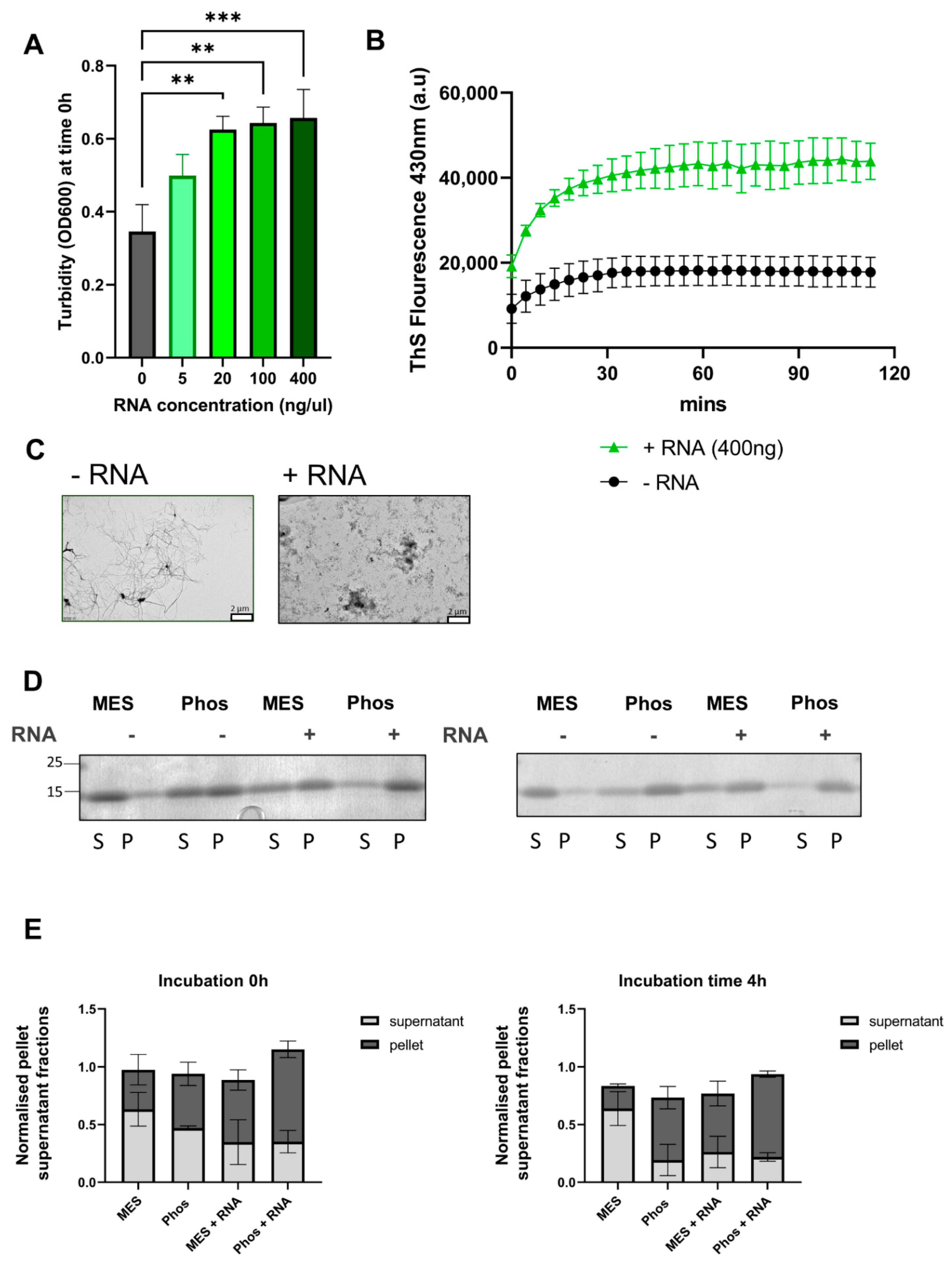 Biomolecules 11 00548 g006 Biomolecules 11 00548 g006