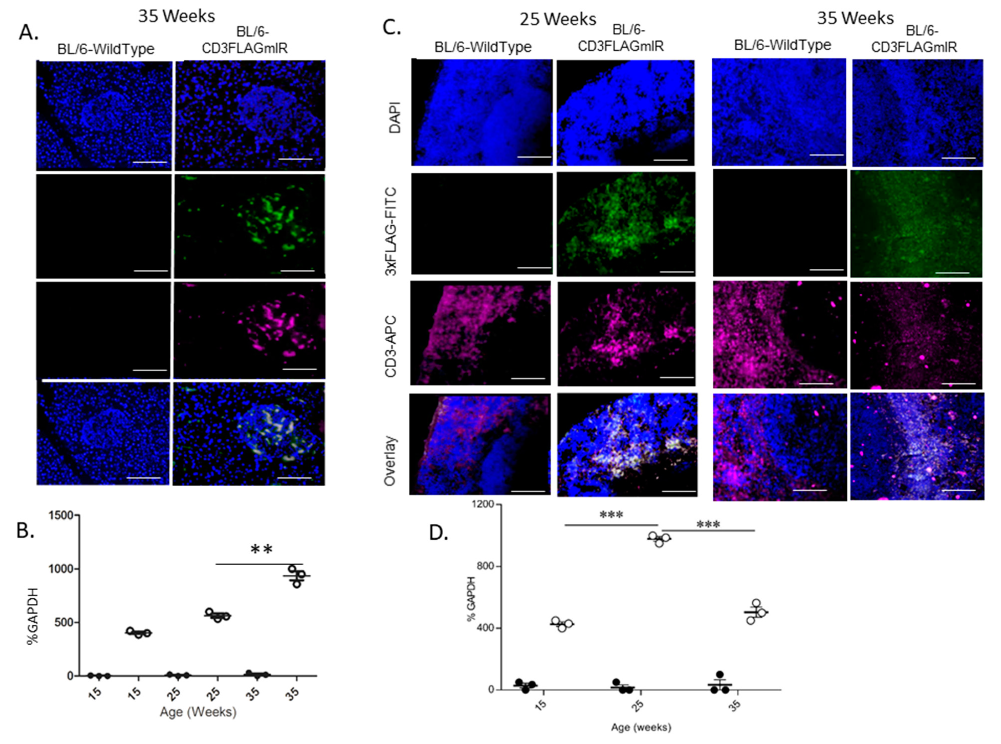 Biomolecules 11 00552 g001