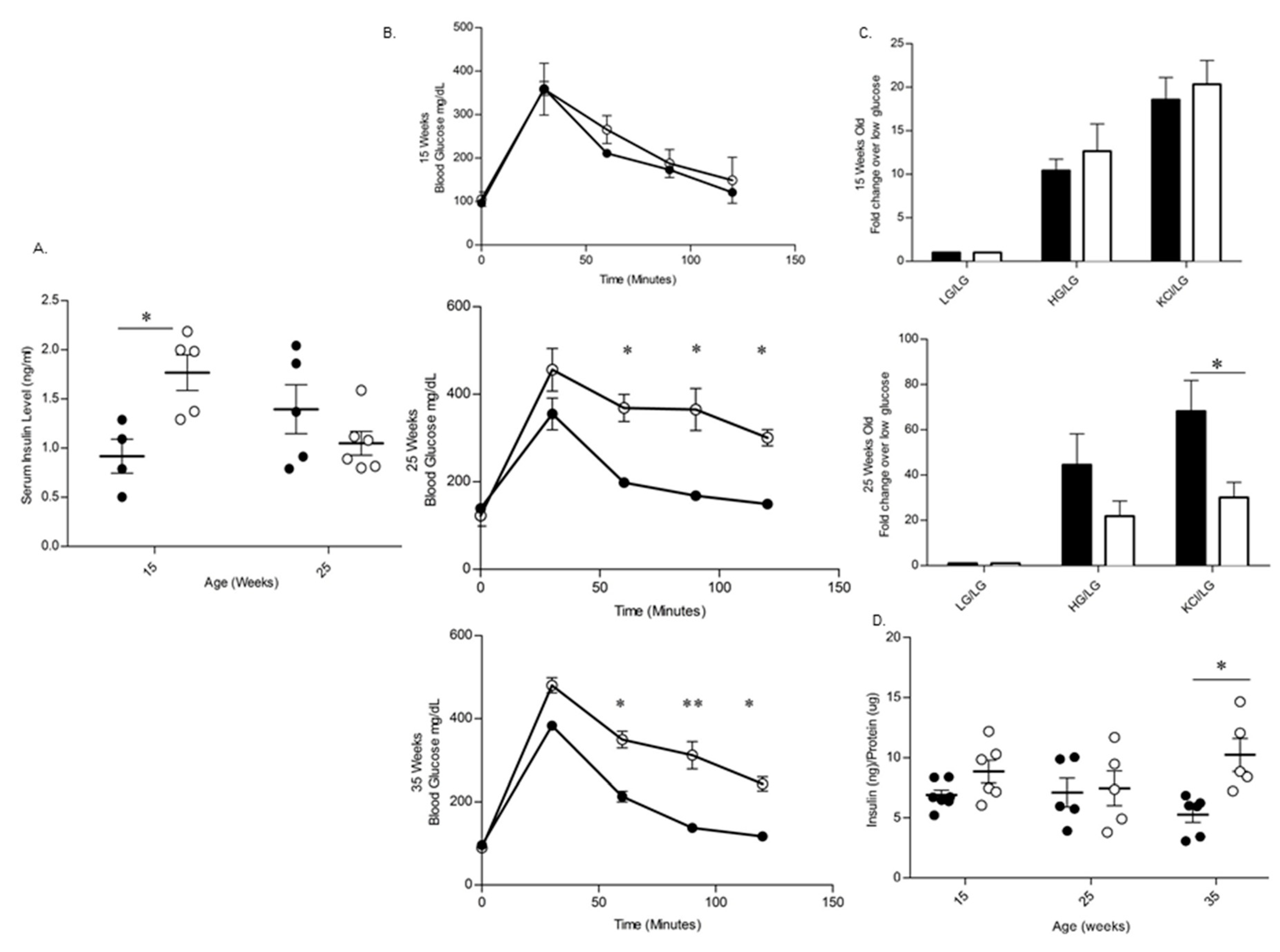 Biomolecules 11 00552 g012