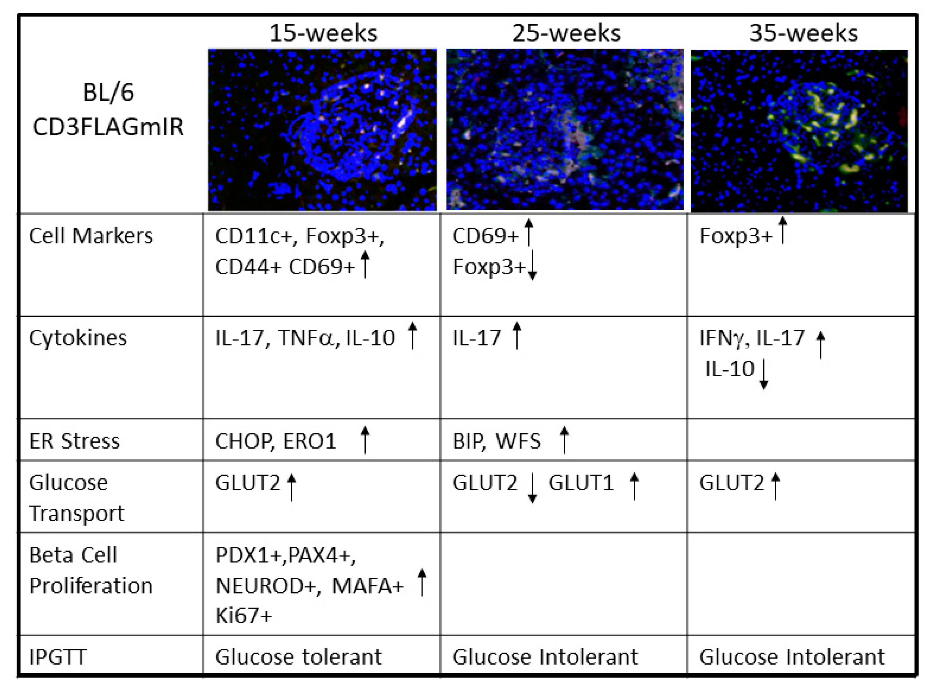 Biomolecules 11 00552 g014