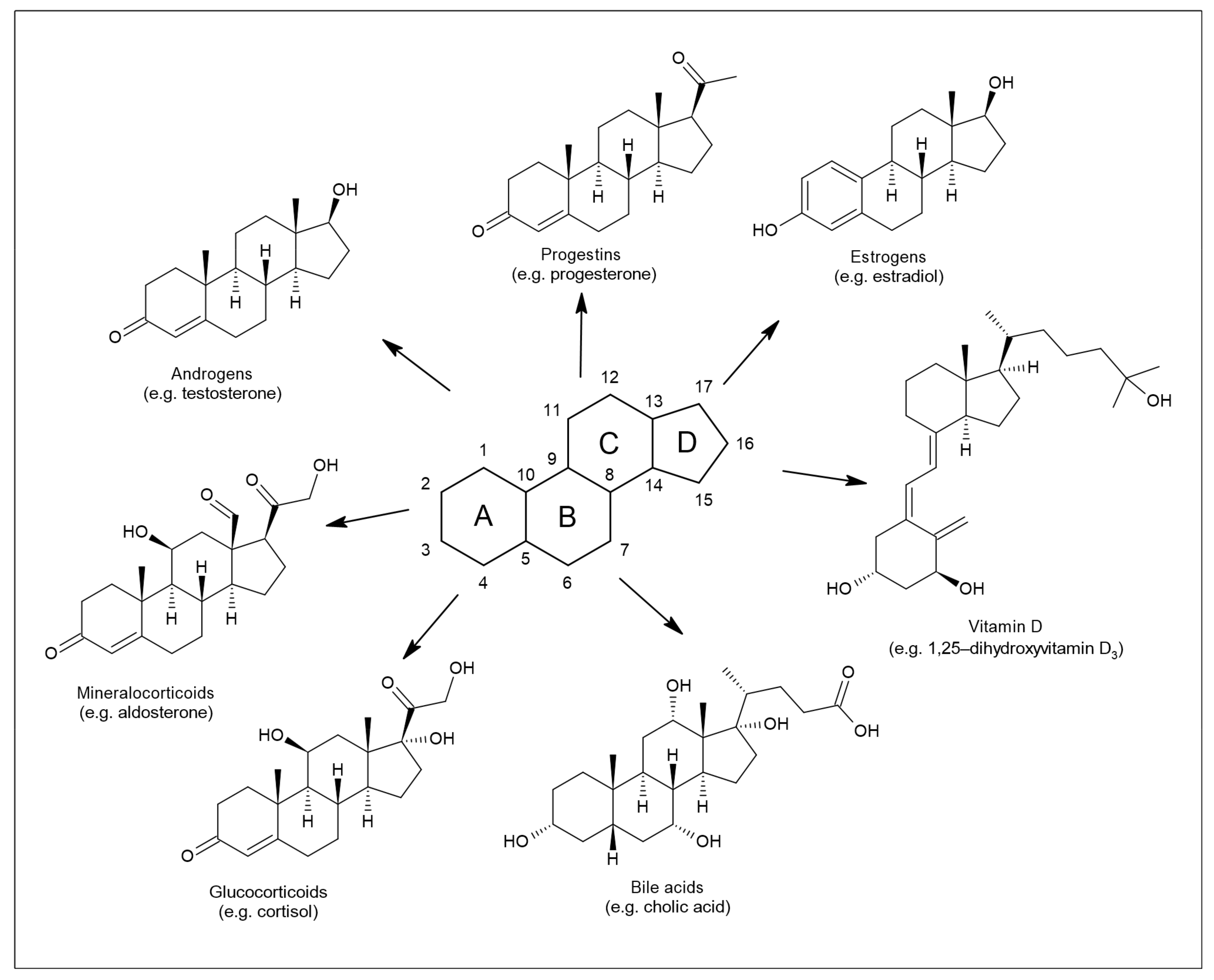 Biomolecules 11 00553 g001