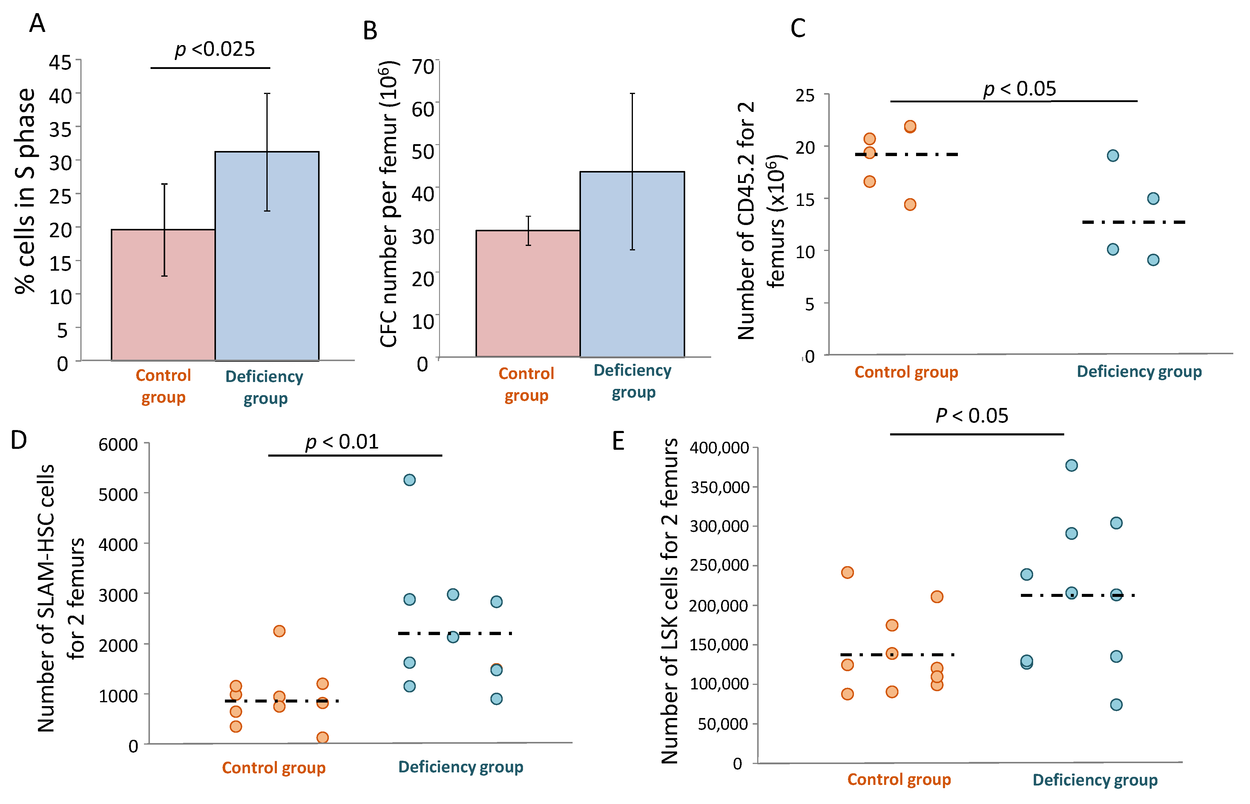 Biomolecules 11 00558 g007 Biomolecules 11 00558 g007