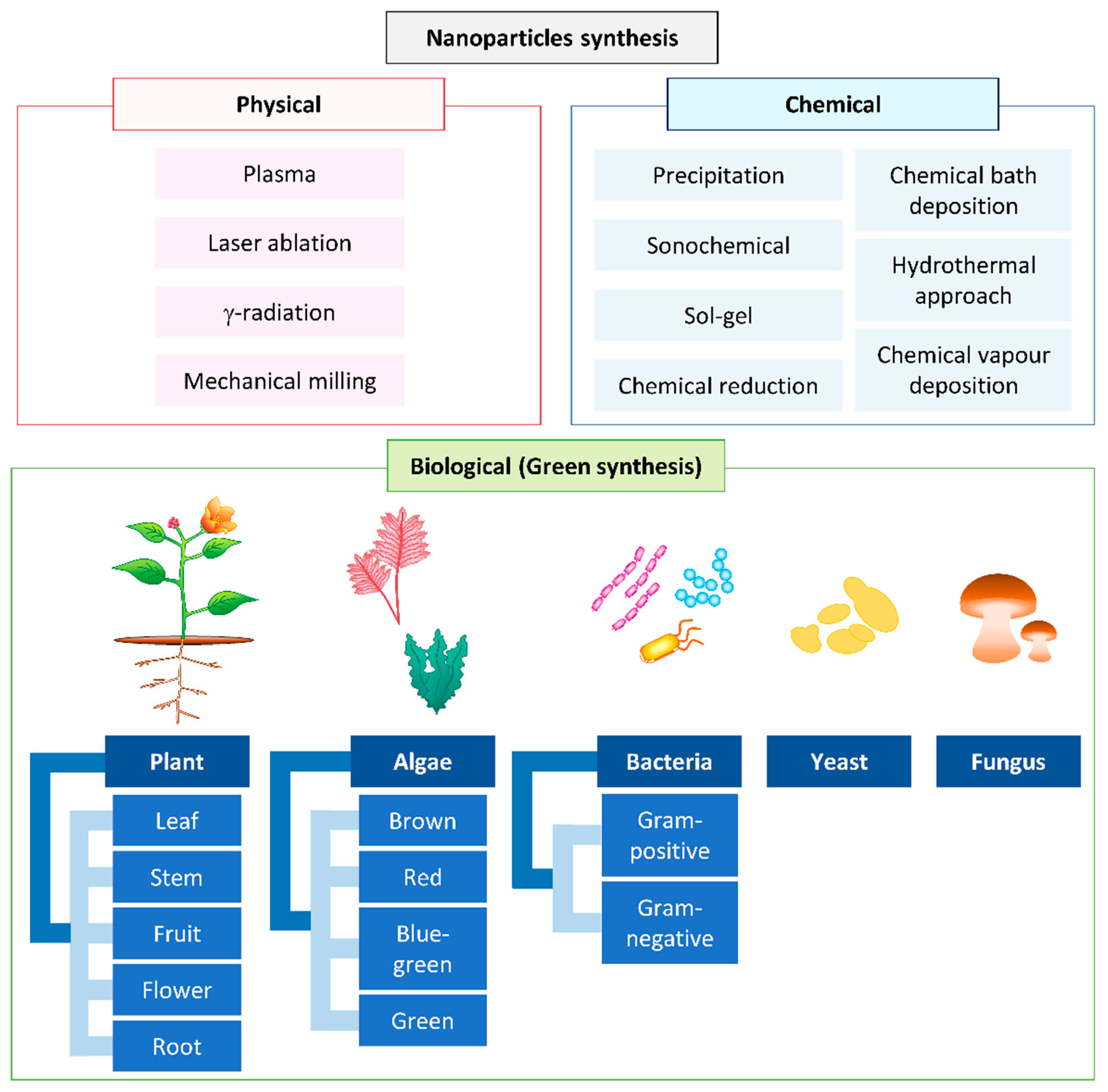 Biomolecules 11 00564 g001 Biomolecules 11 00564 g001