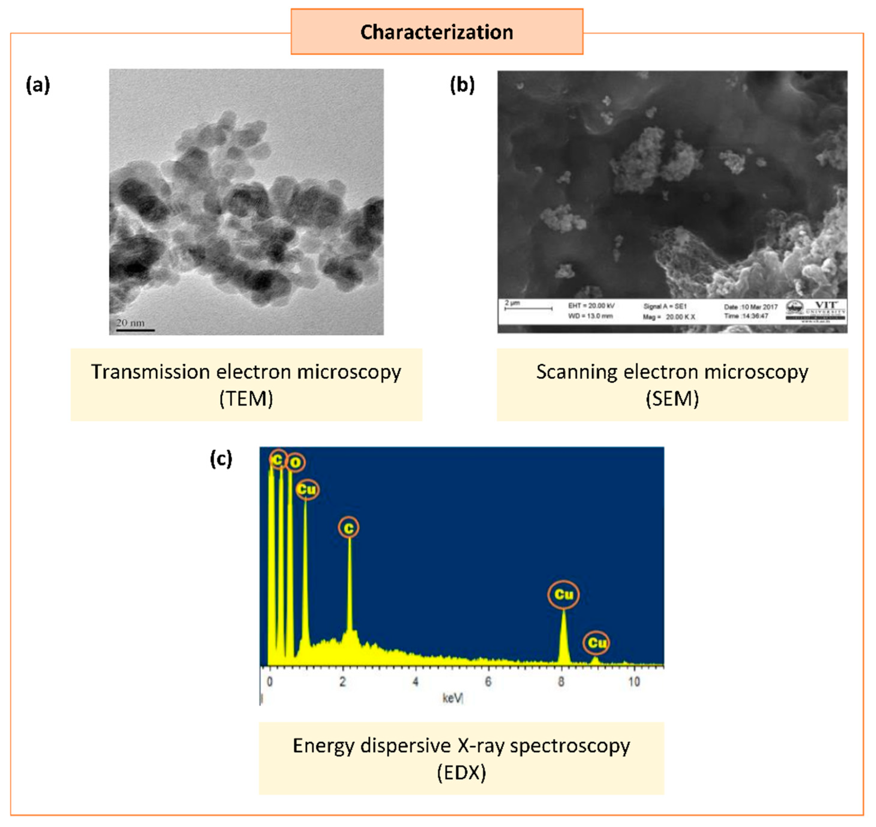 Biomolecules 11 00564 g003 Biomolecules 11 00564 g003