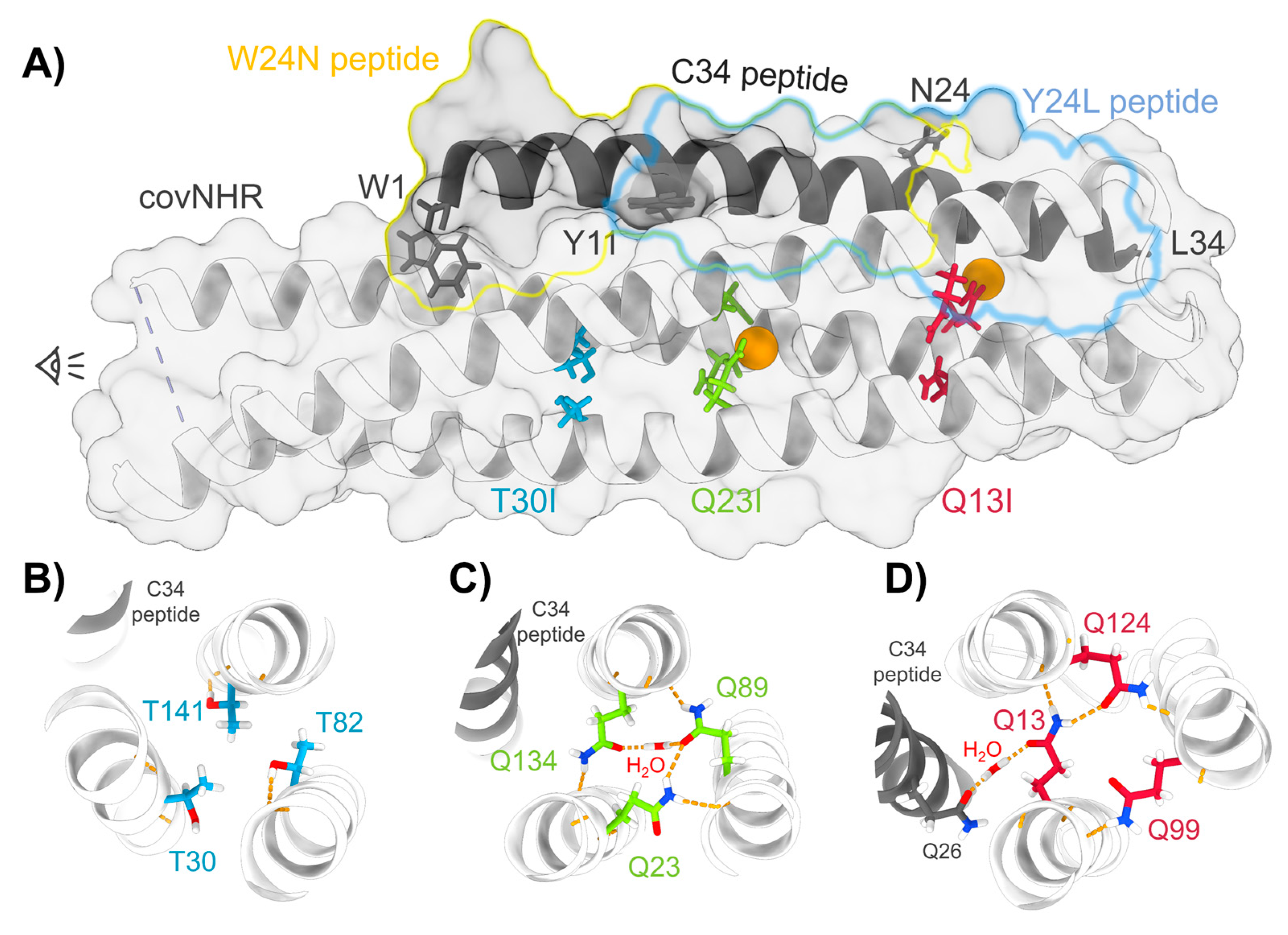 Biomolecules 11 00566 g001