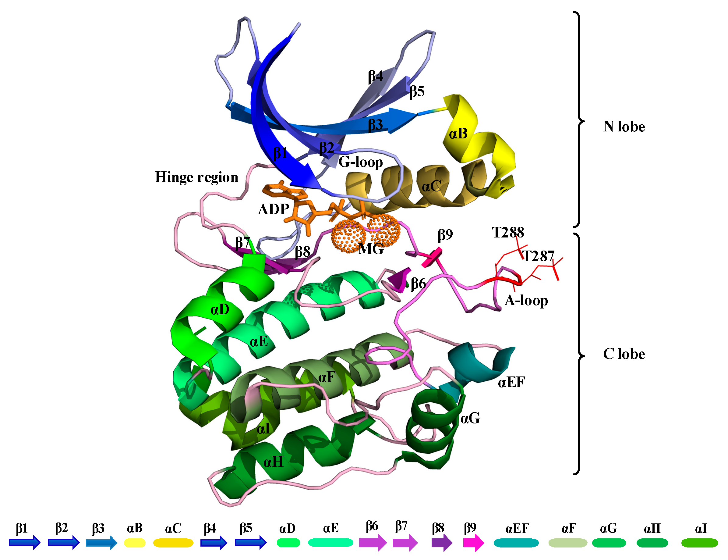 Biomolecules 11 00567 g001