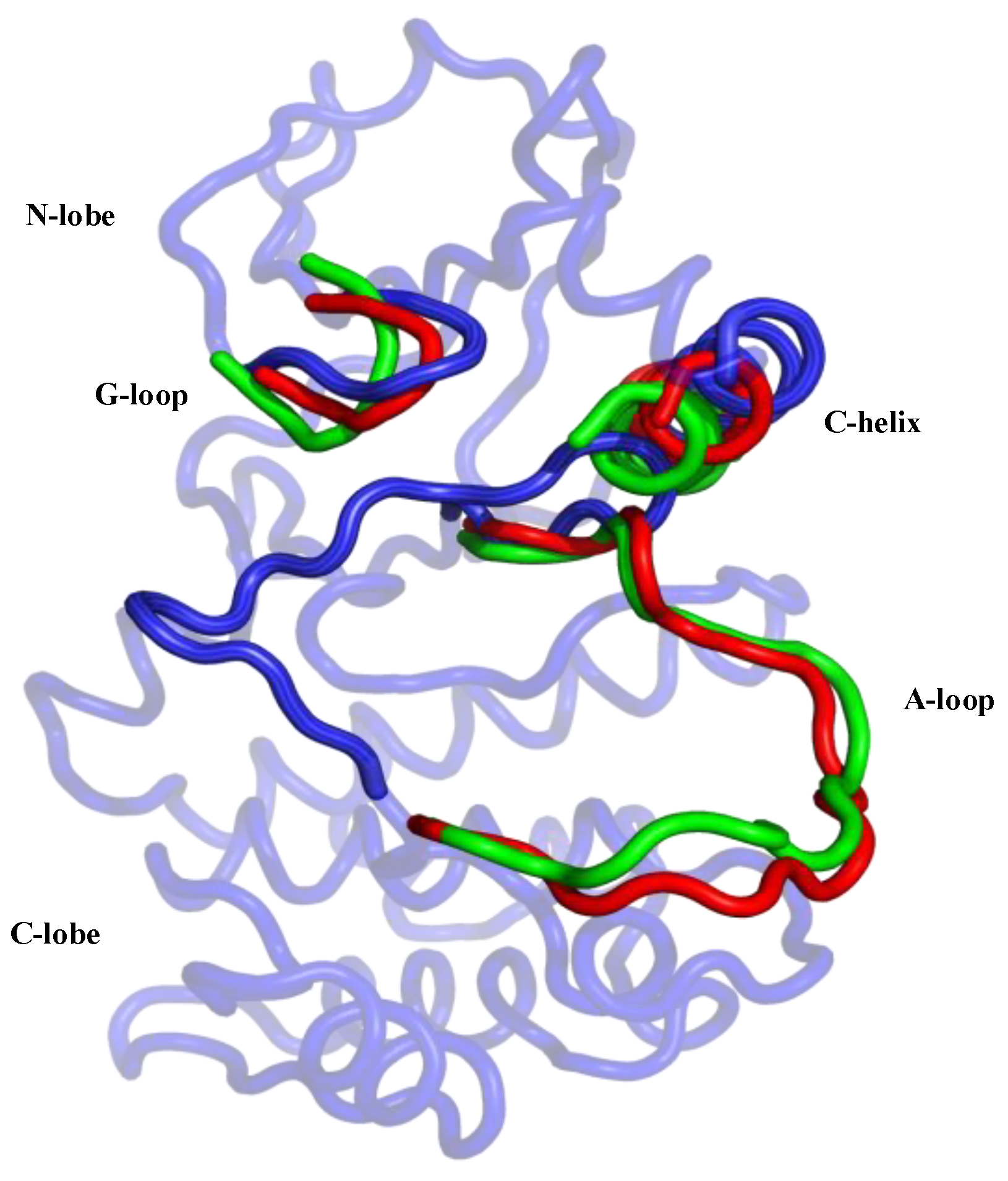 Biomolecules 11 00567 g002