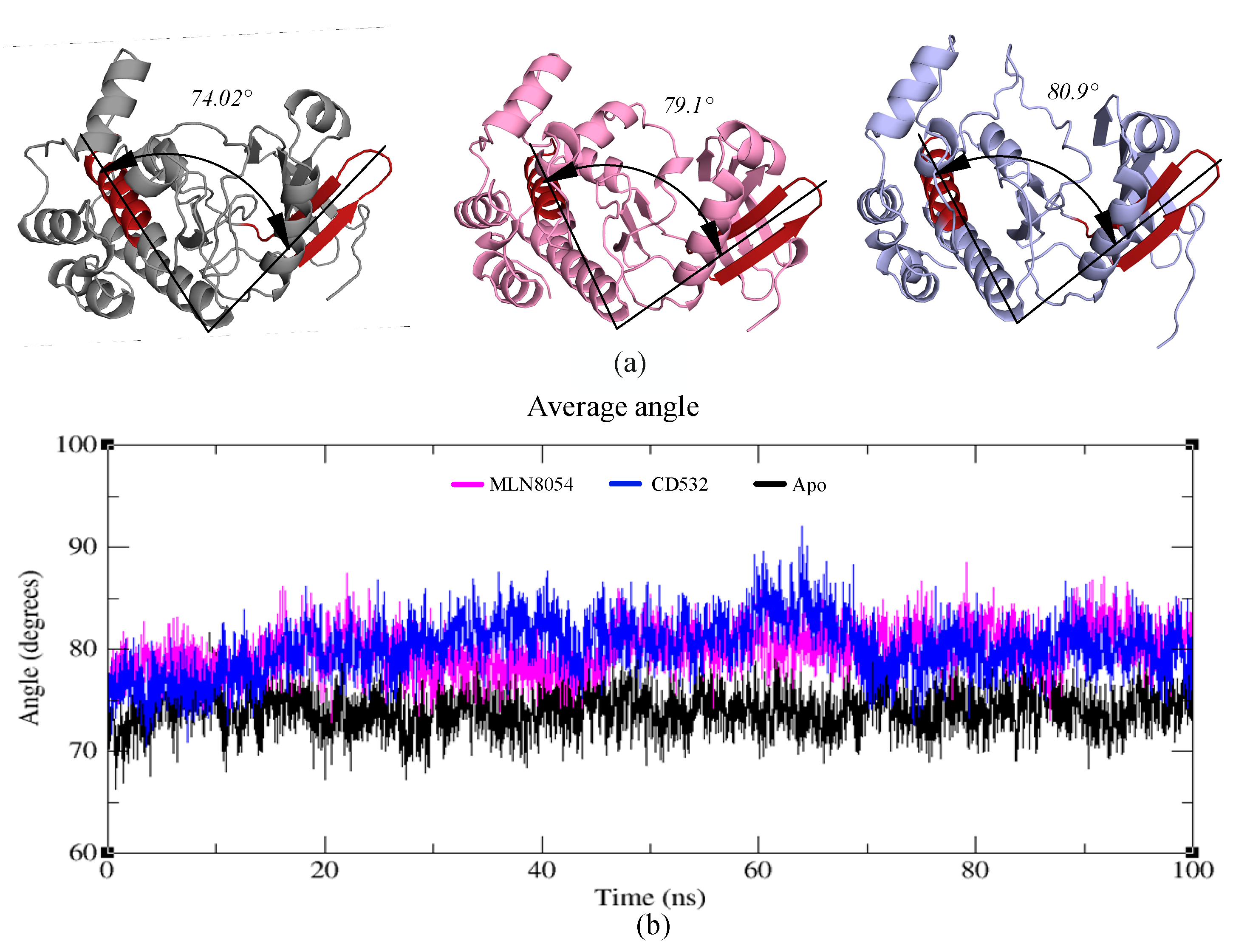 Biomolecules 11 00567 g007