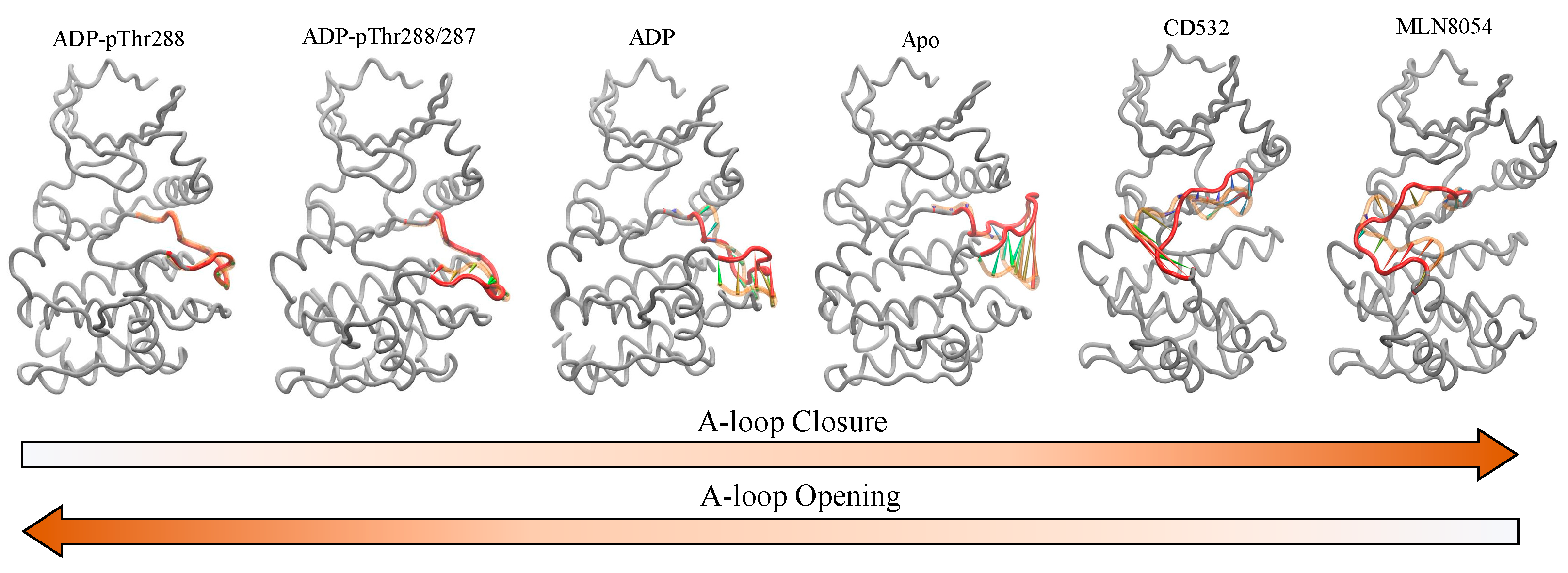 Biomolecules 11 00567 g009