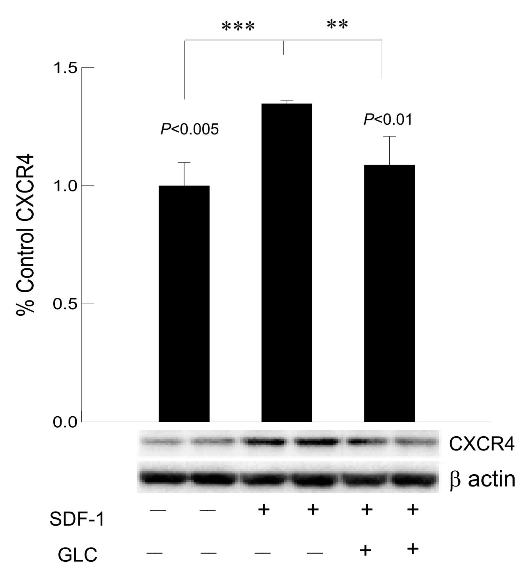 Biomolecules 11 00569 g008 Biomolecules 11 00569 g008