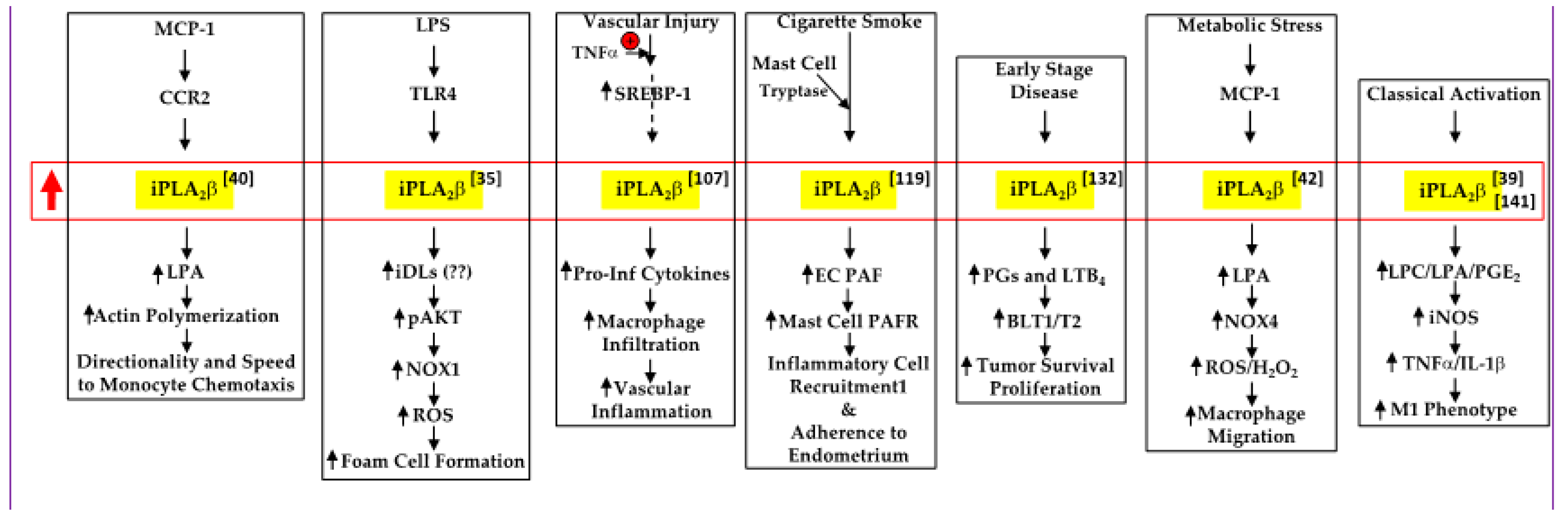 Biomolecules 11 00577 g001