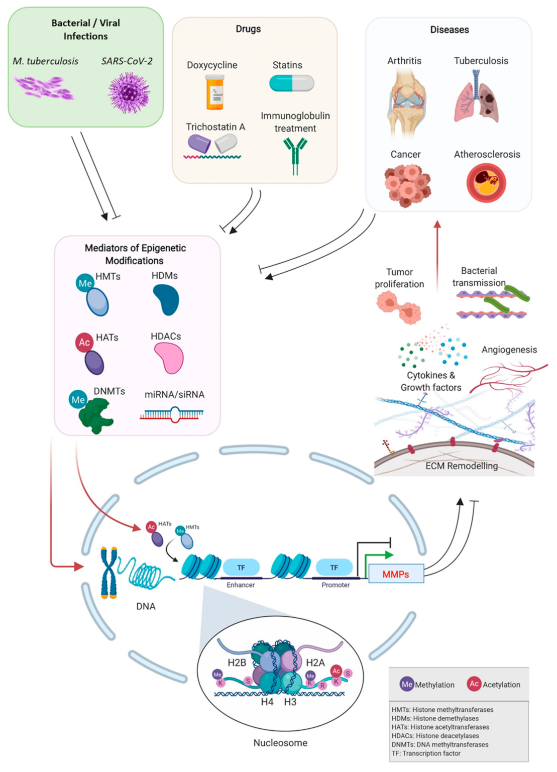 Biomolecules 11 00578 g001 Biomolecules 11 00578 g001