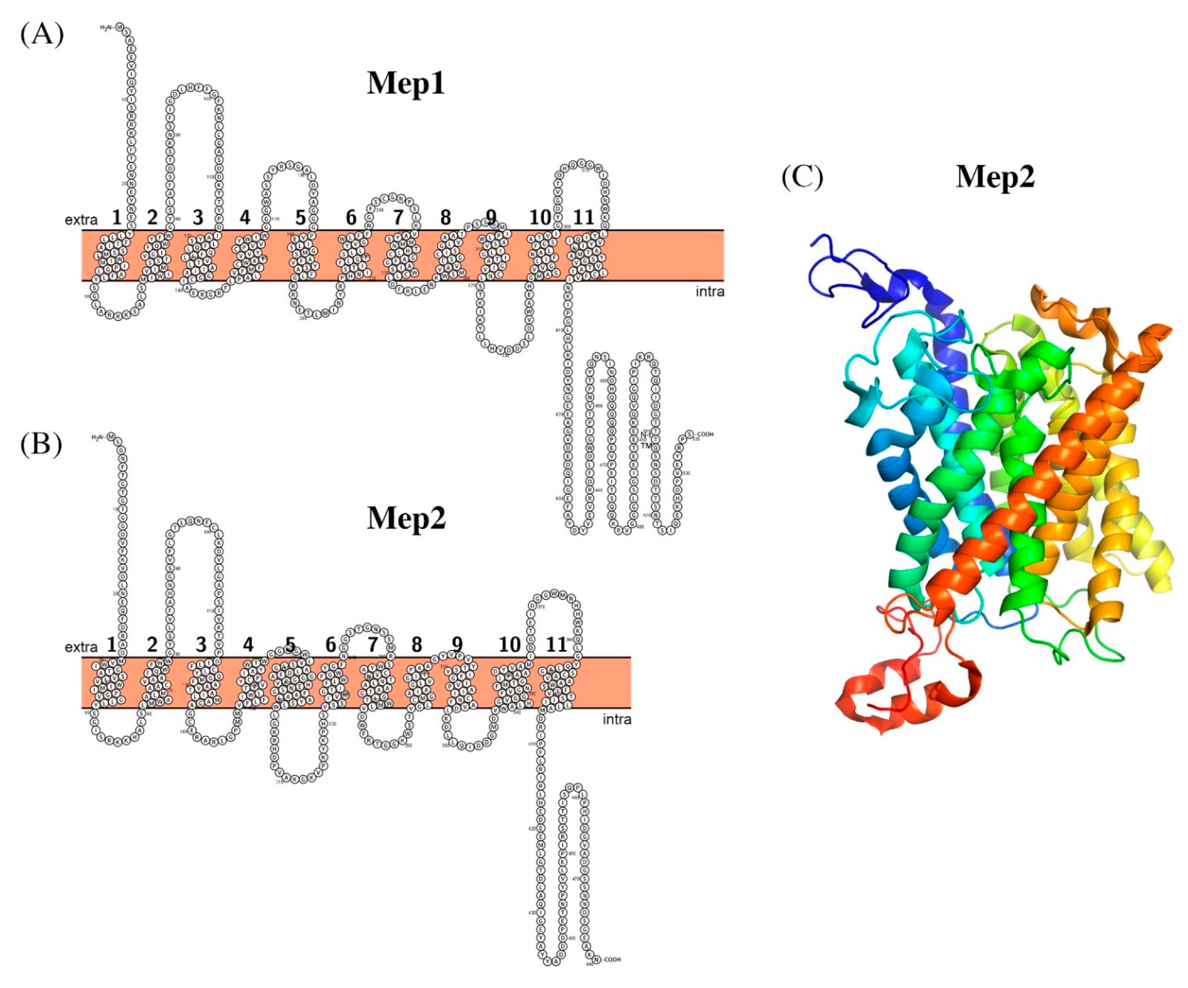 Biomolecules 11 00584 g001