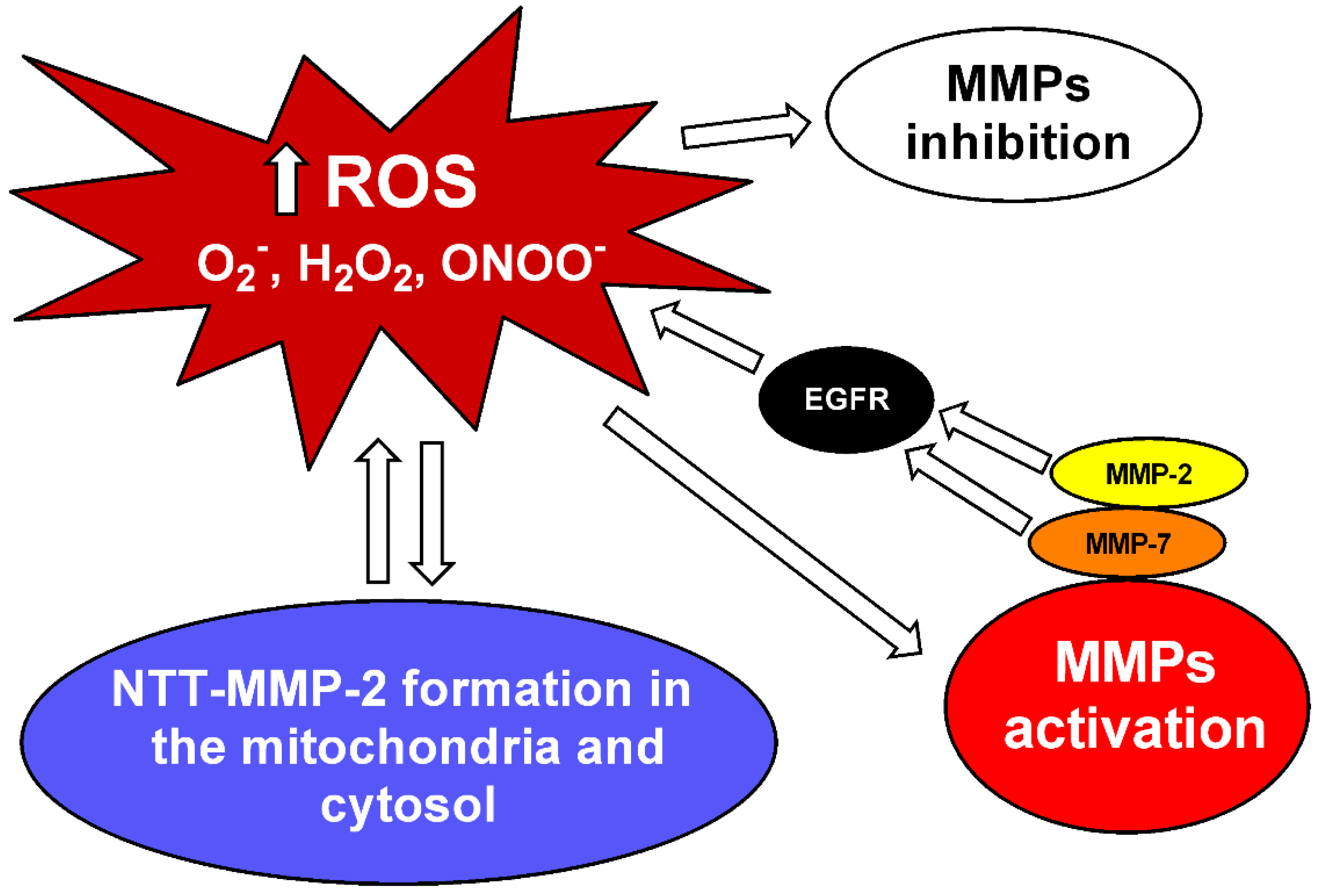 Biomolecules 11 00585 g001