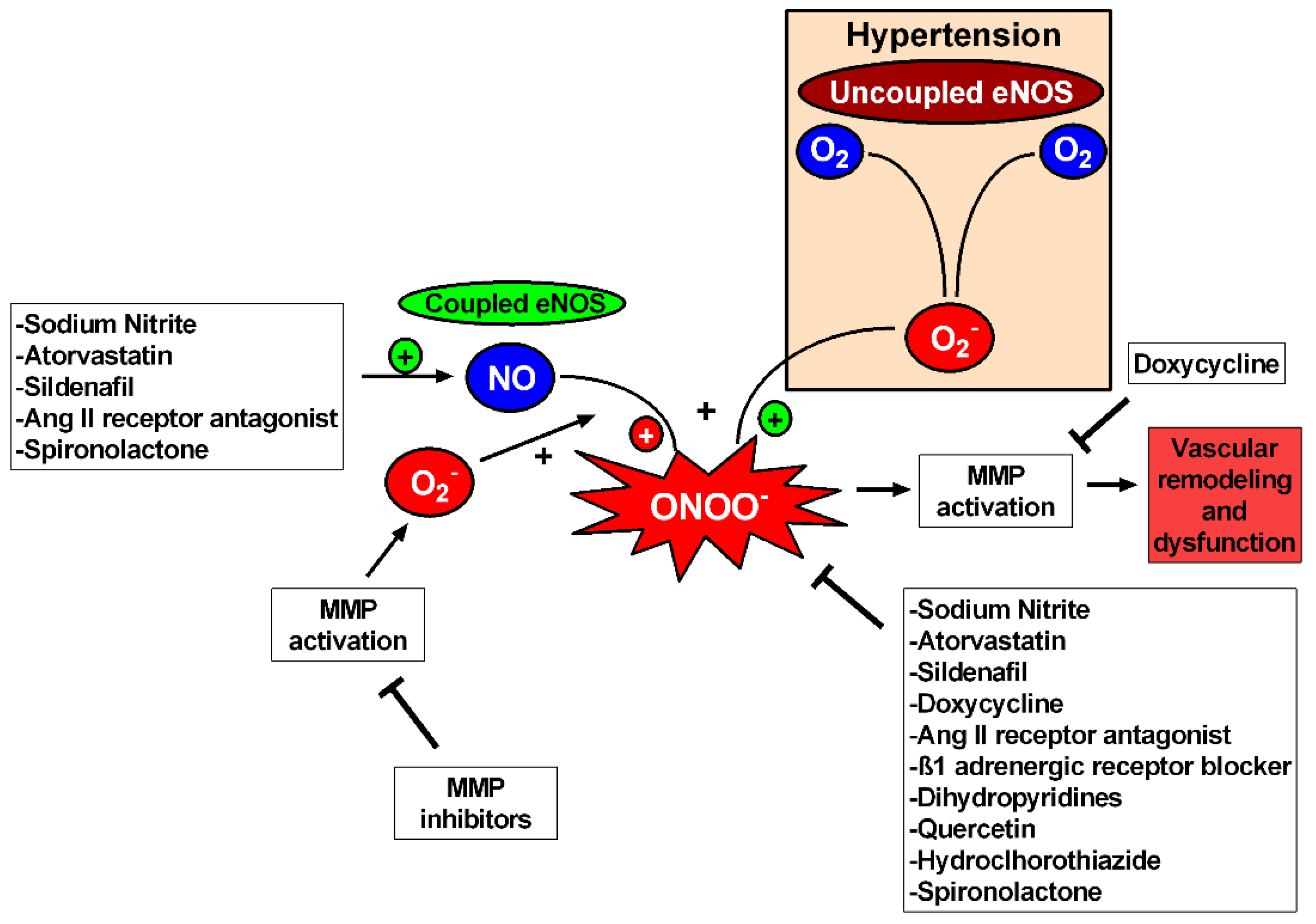 Biomolecules 11 00585 g004