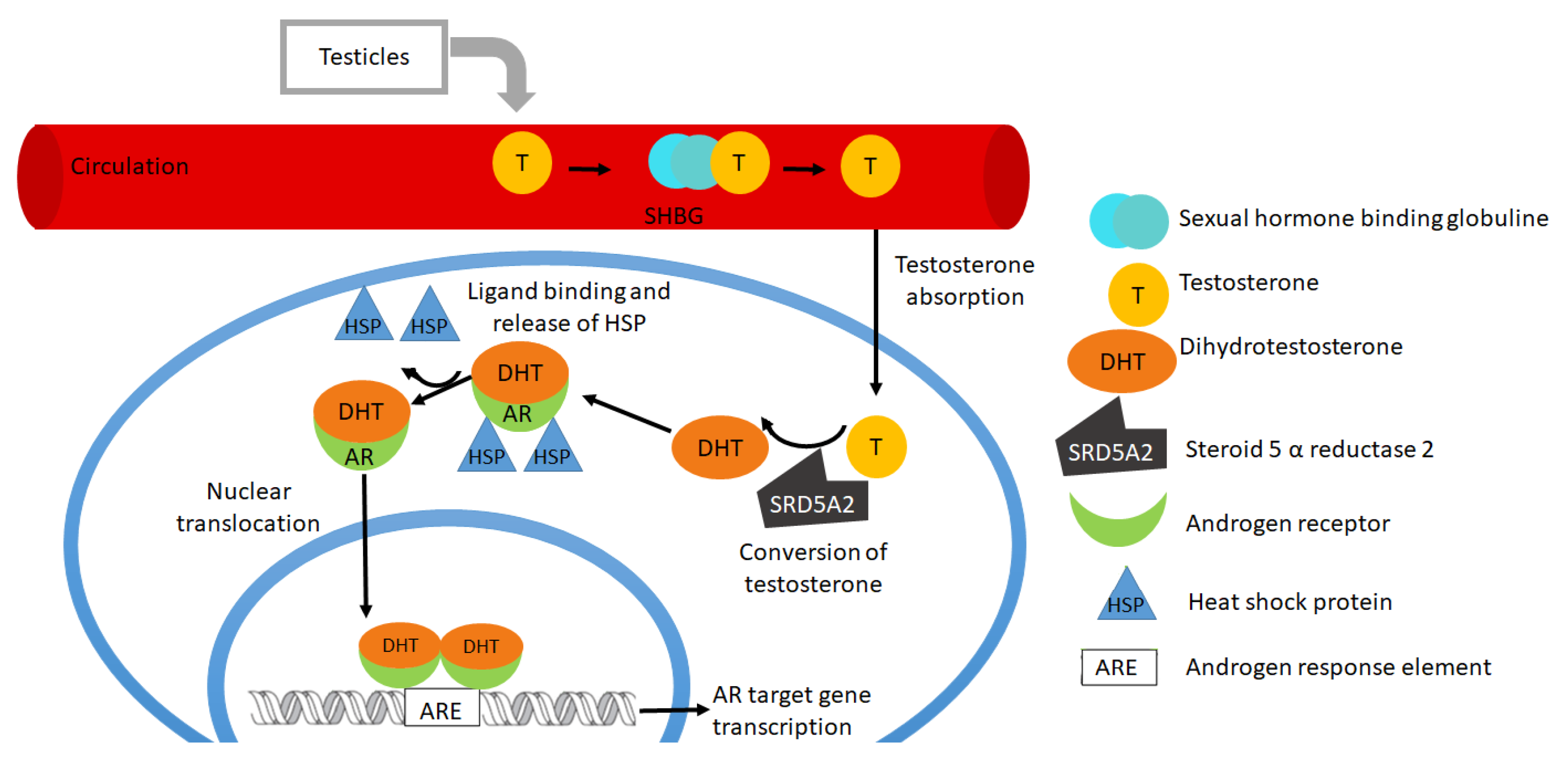 Biomolecules 11 00594 g001