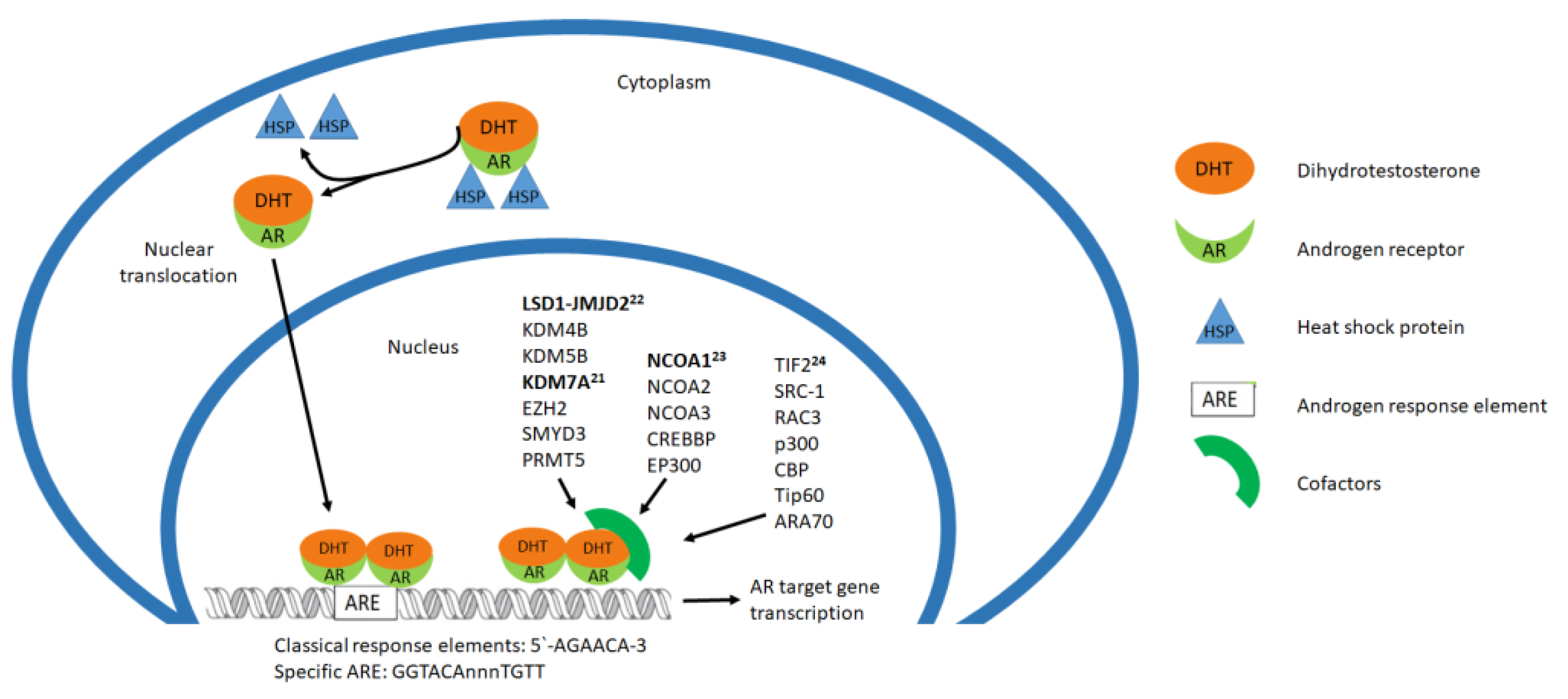 Biomolecules 11 00594 g002