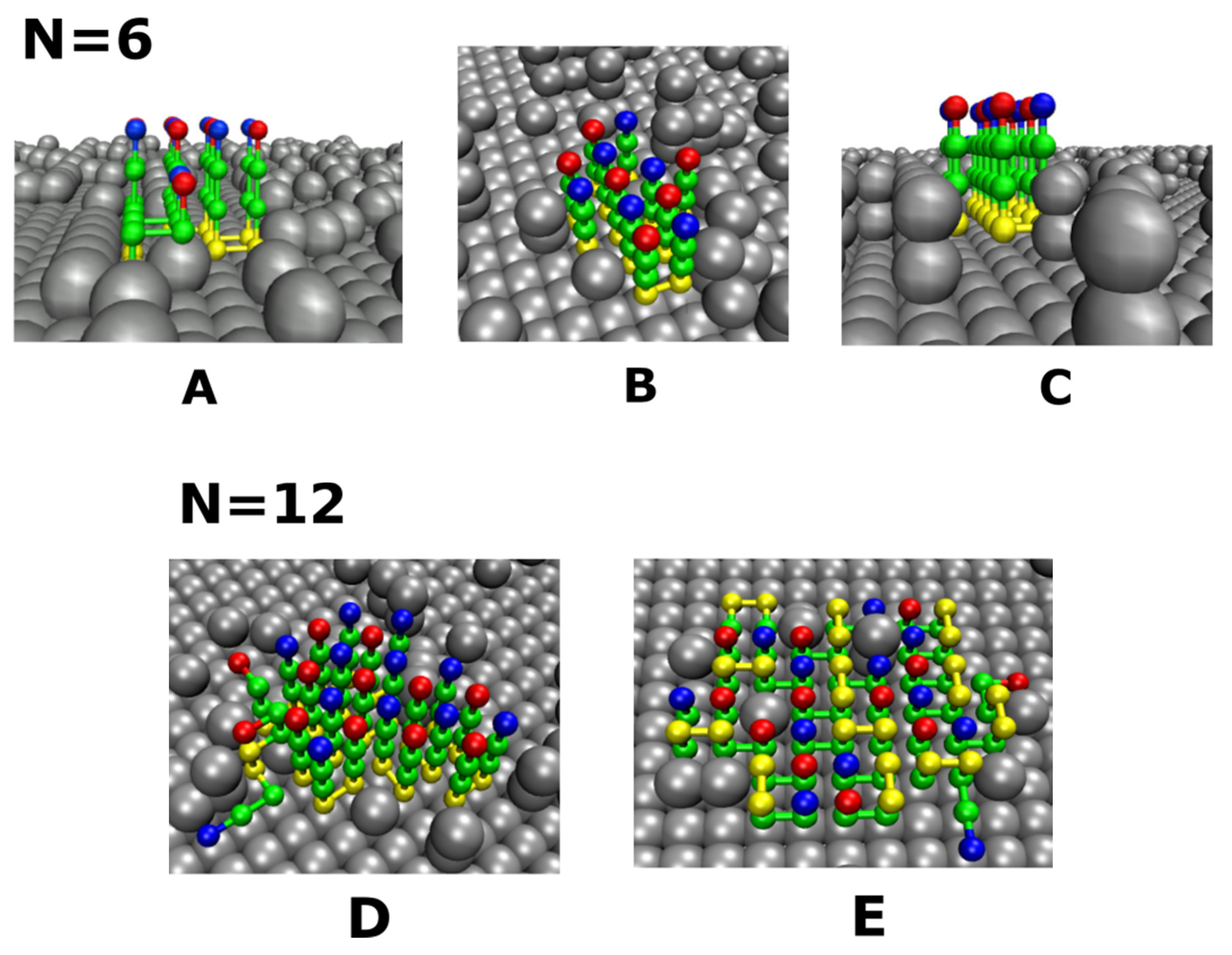 Biomolecules 11 00596 g003
