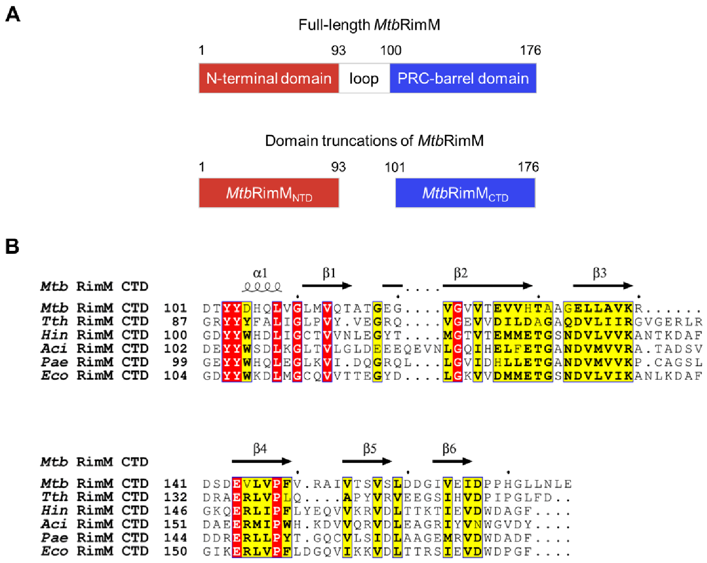Biomolecules 11 00597 g001 Biomolecules 11 00597 g001