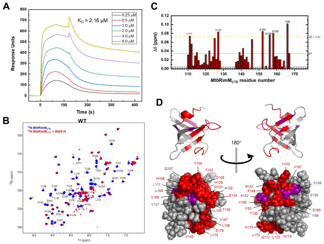 Biomolecules 11 00597 g007 Biomolecules 11 00597 g007