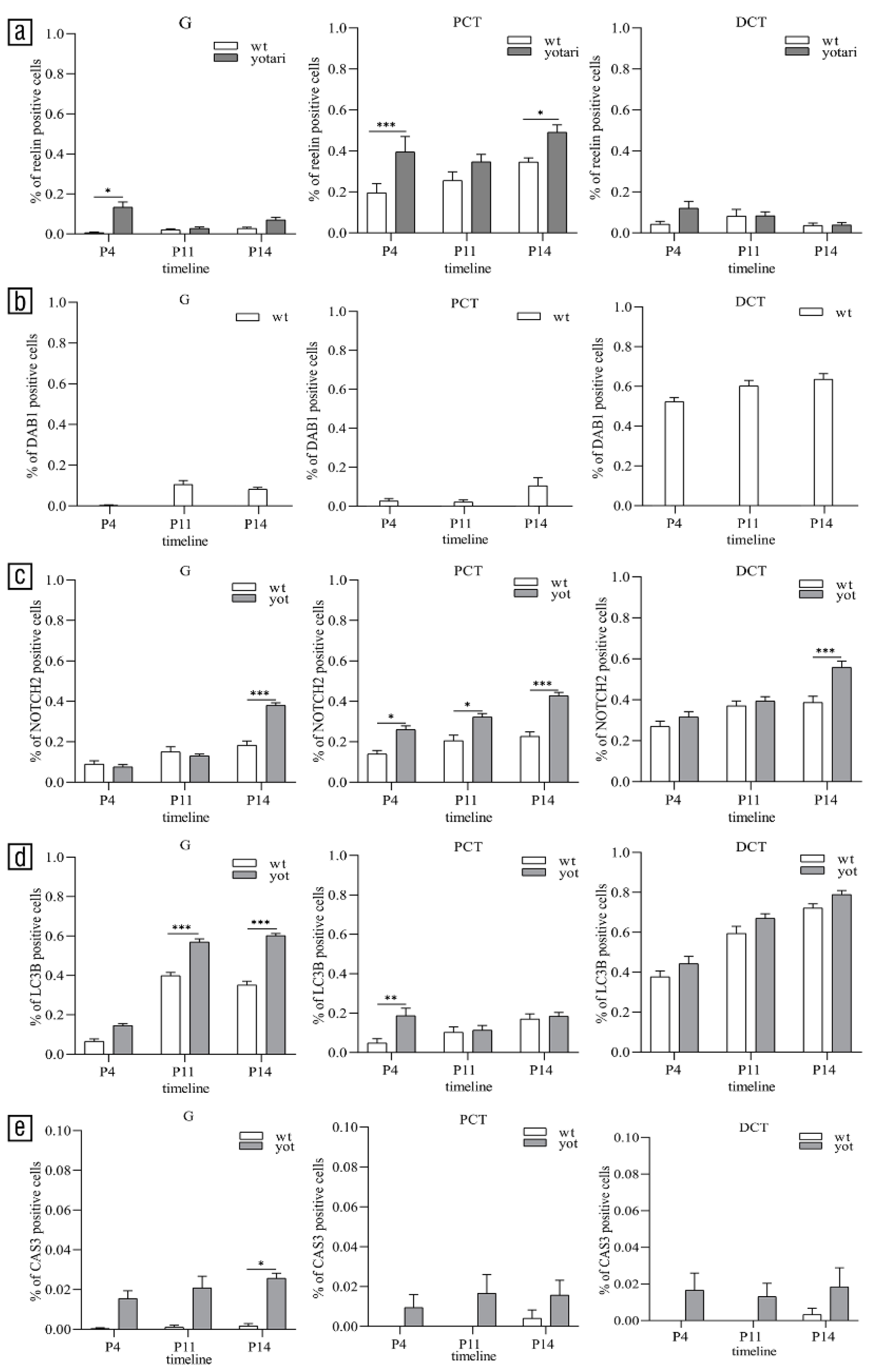 Biomolecules 11 00609 g003 Biomolecules 11 00609 g003
