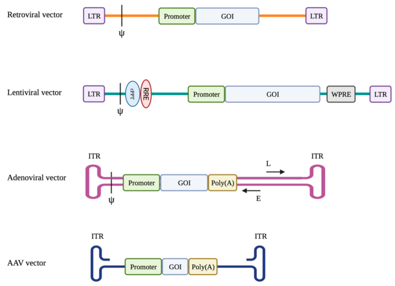 Biomolecules 11 00611 g001 Biomolecules 11 00611 g001