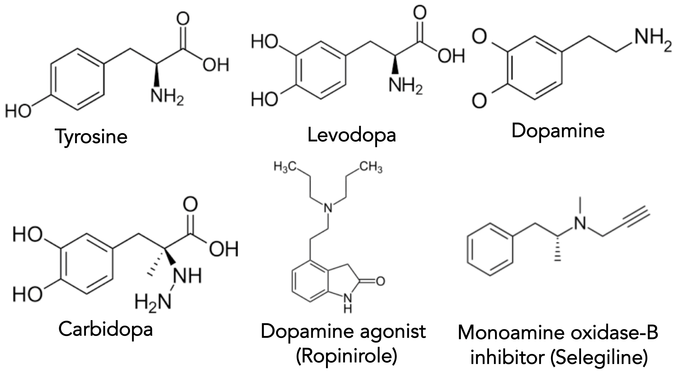 Biomolecules 11 00612 g002 Biomolecules 11 00612 g002
