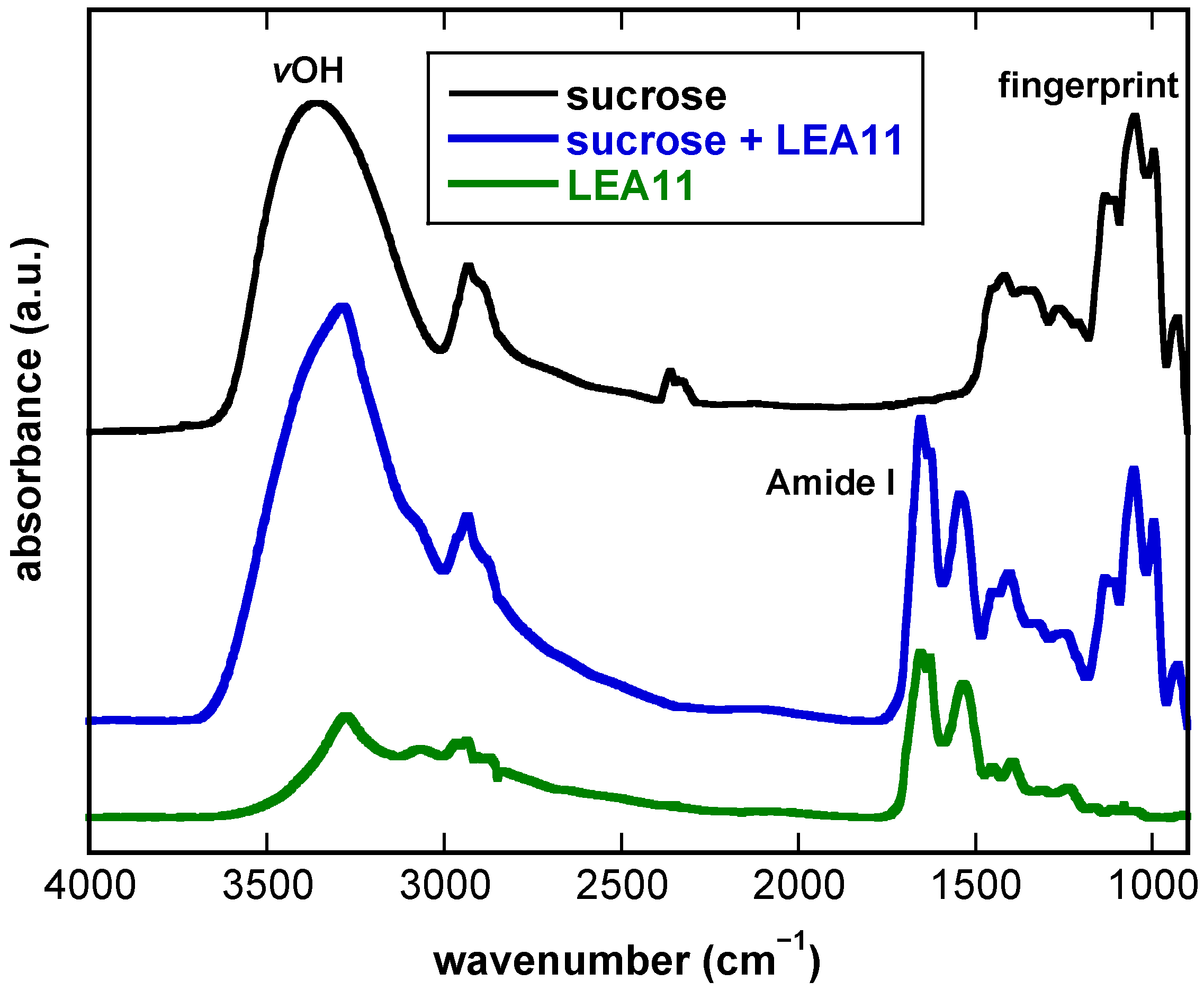 Biomolecules 11 00615 g001 Biomolecules 11 00615 g001